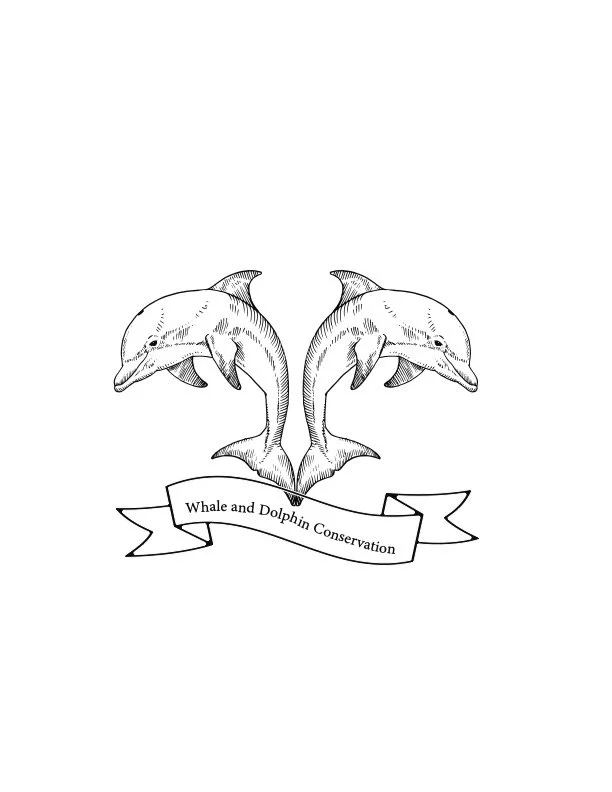 black and white decal.jpg