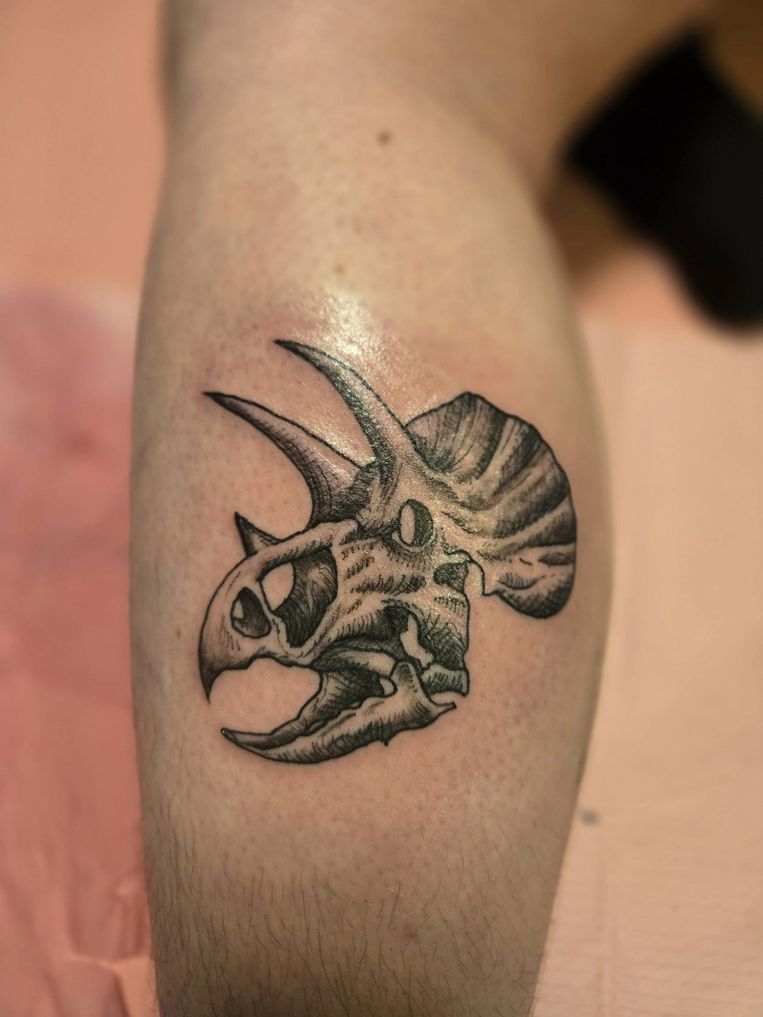 Greenhouse Tattoos Feed