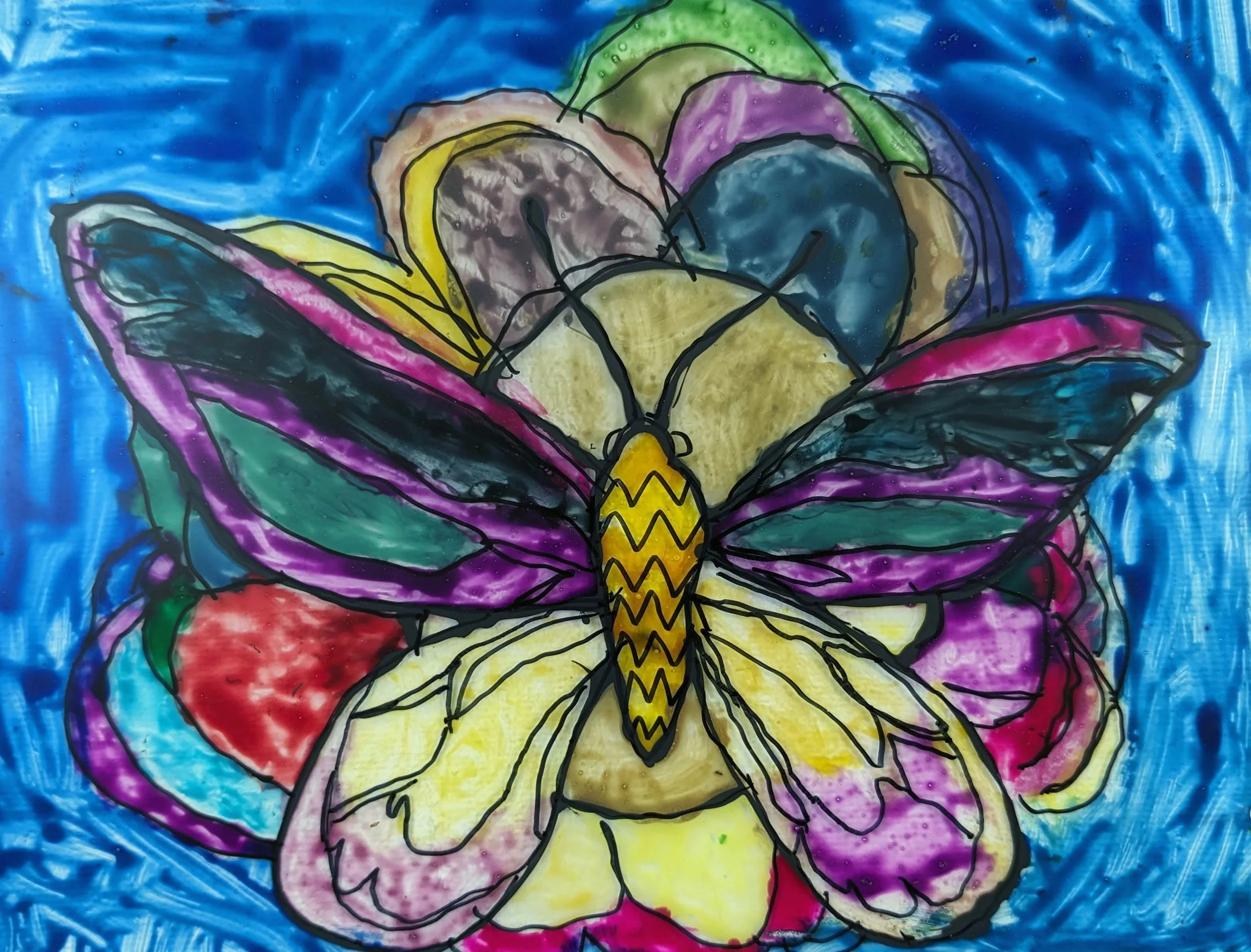BUTTERFLY_BACK.jpg