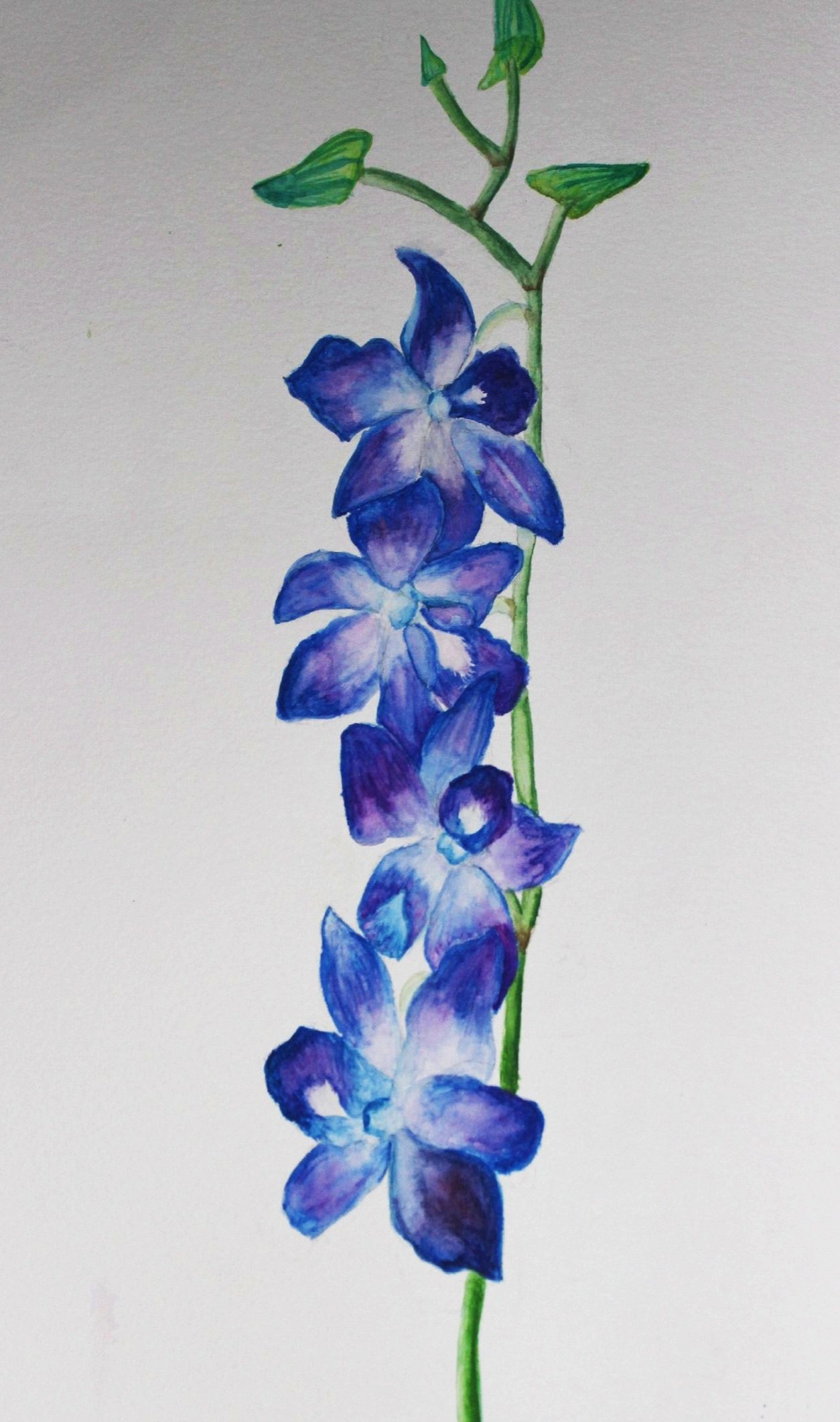 Watercolour