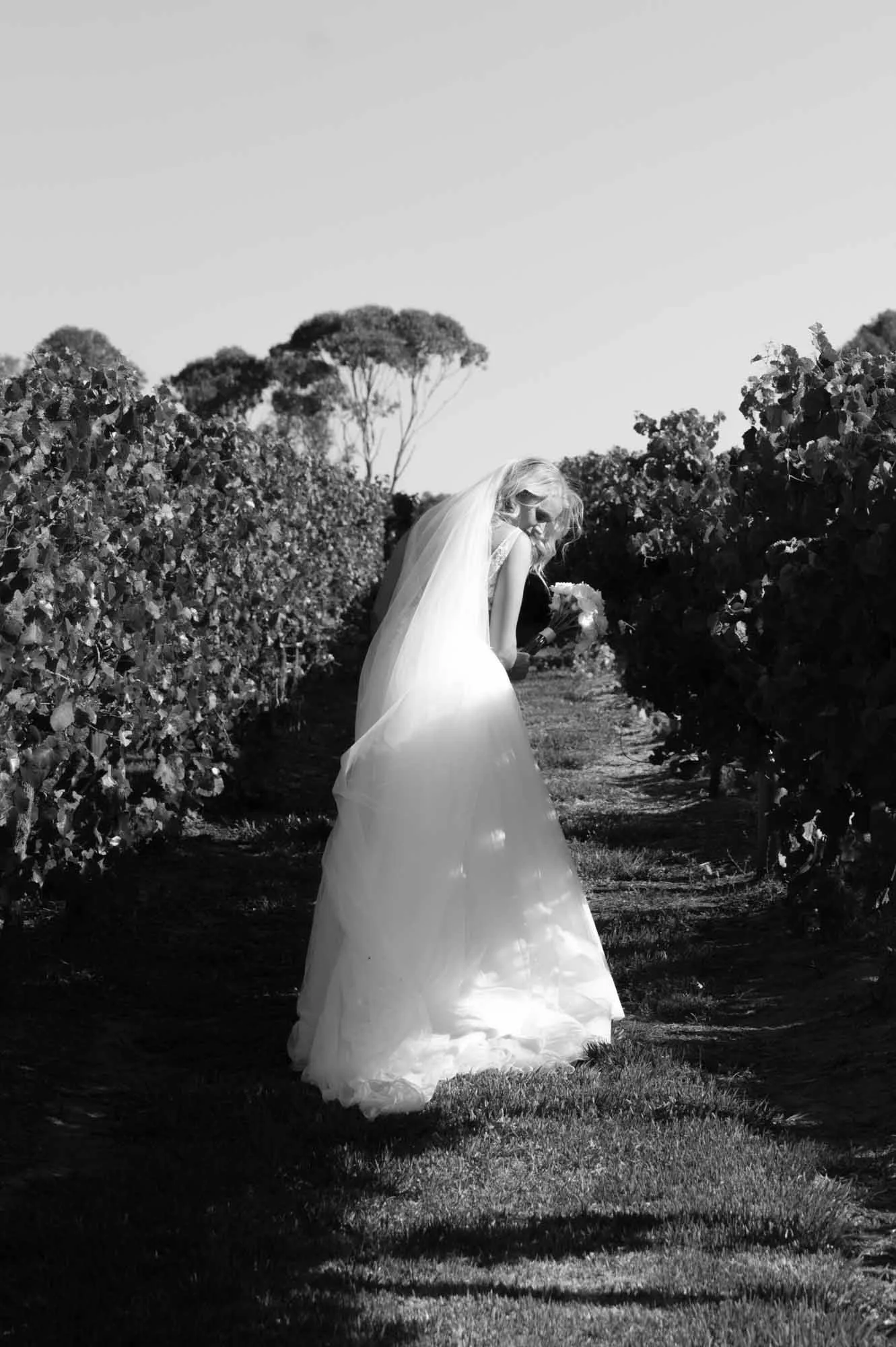 JackRabbitWeddingBellarine-269.jpg