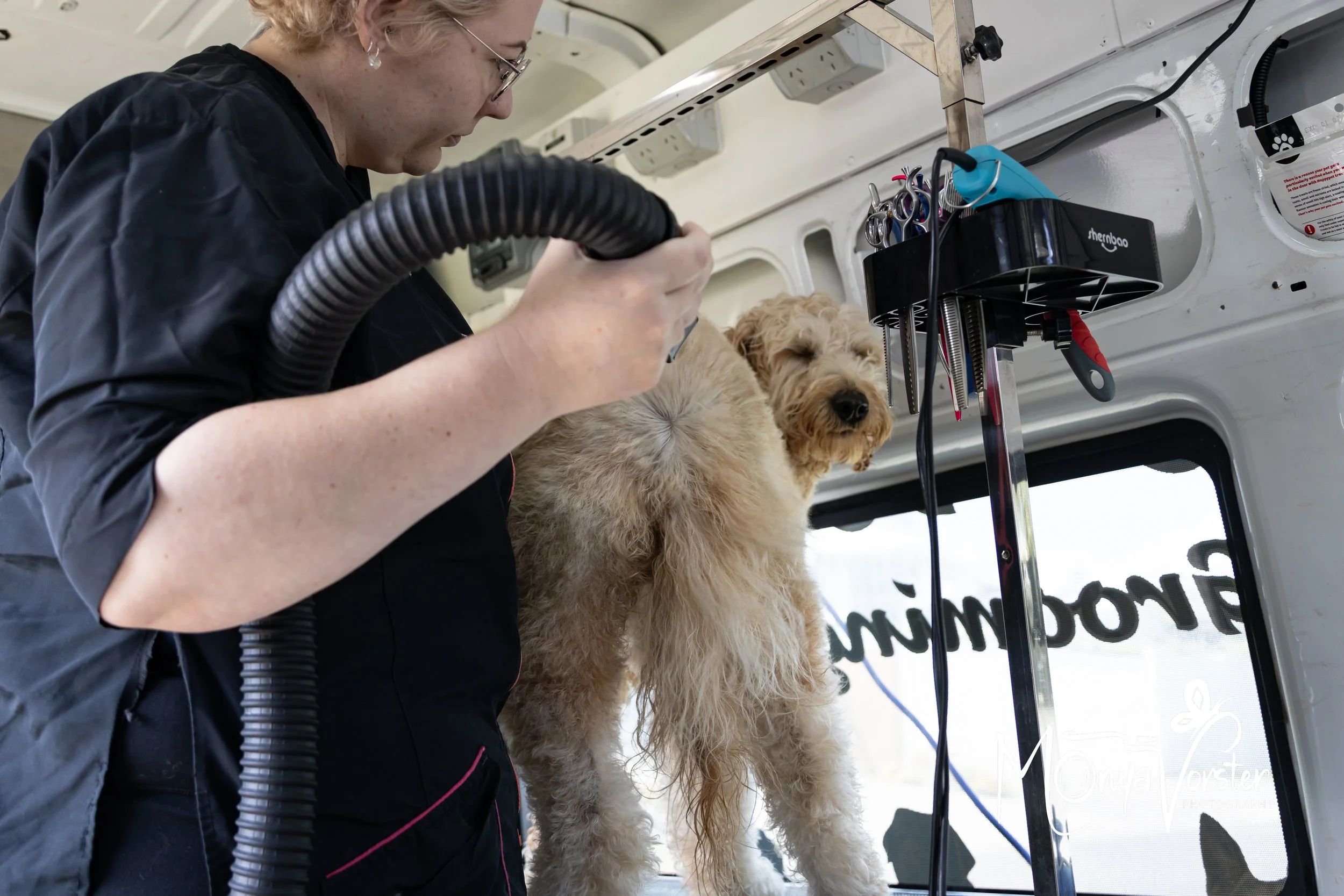 Kiwi Paws Jade 2024 Social media-31.JPG