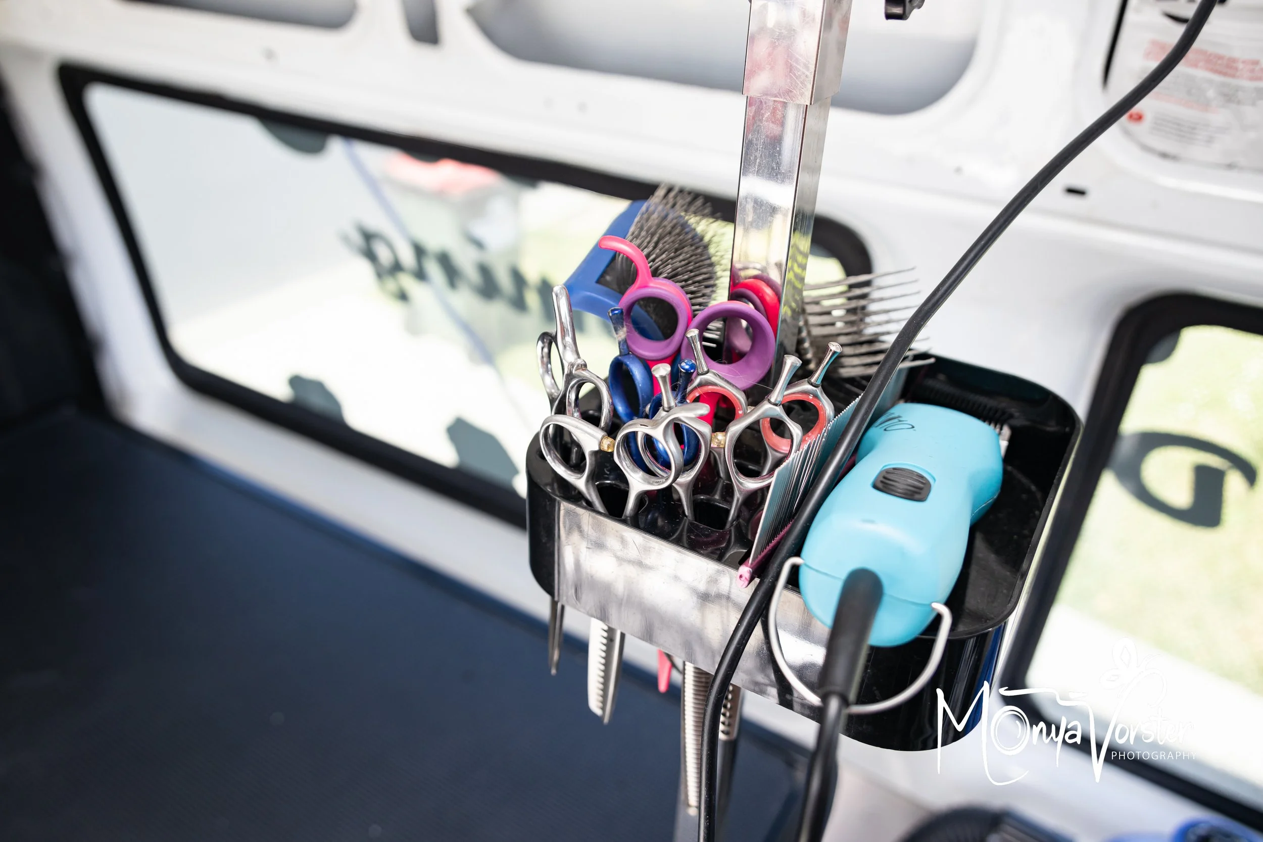 Kiwi Paws Jade 2024 Social media-39.JPG