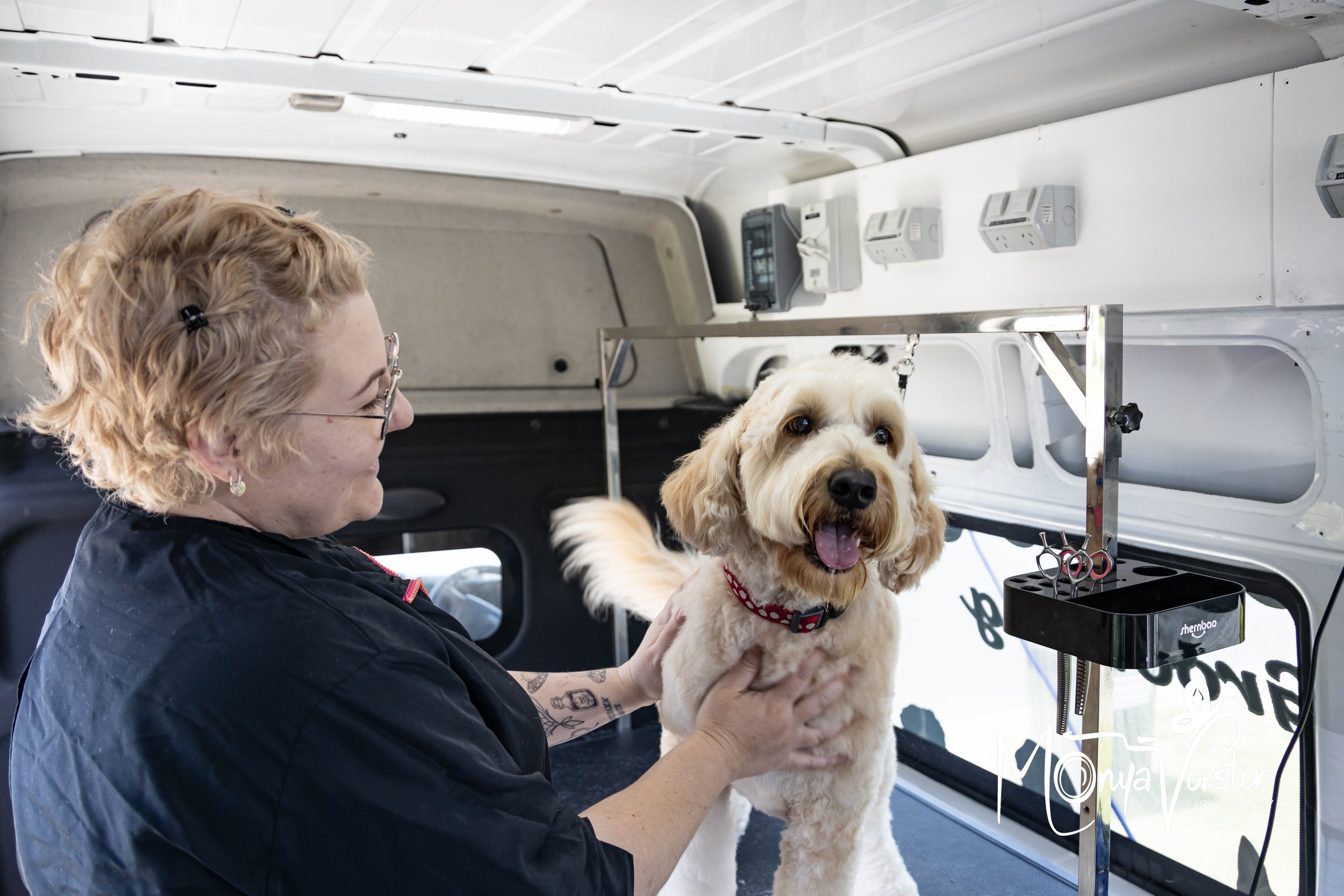 Kiwi Paws Jade 2024 Social media-08.JPG