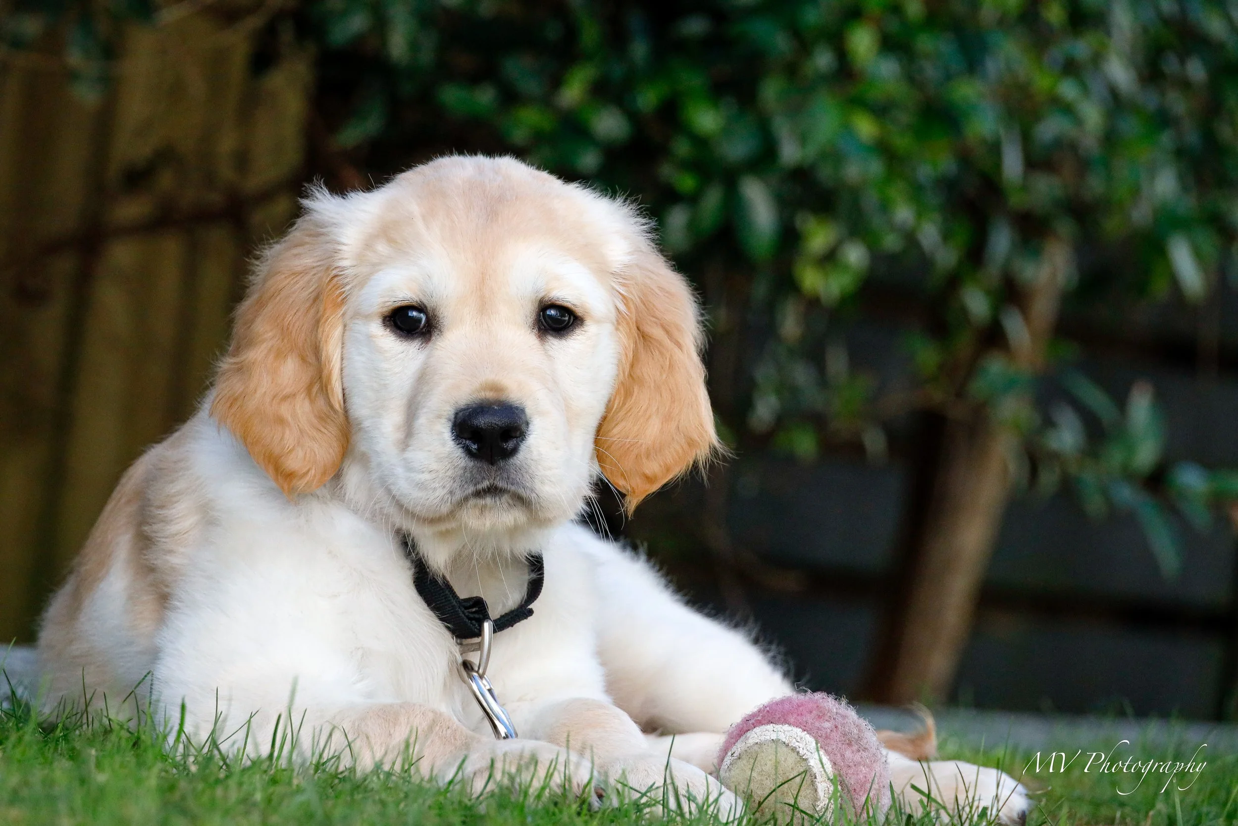 Daisy and Family-22.jpg