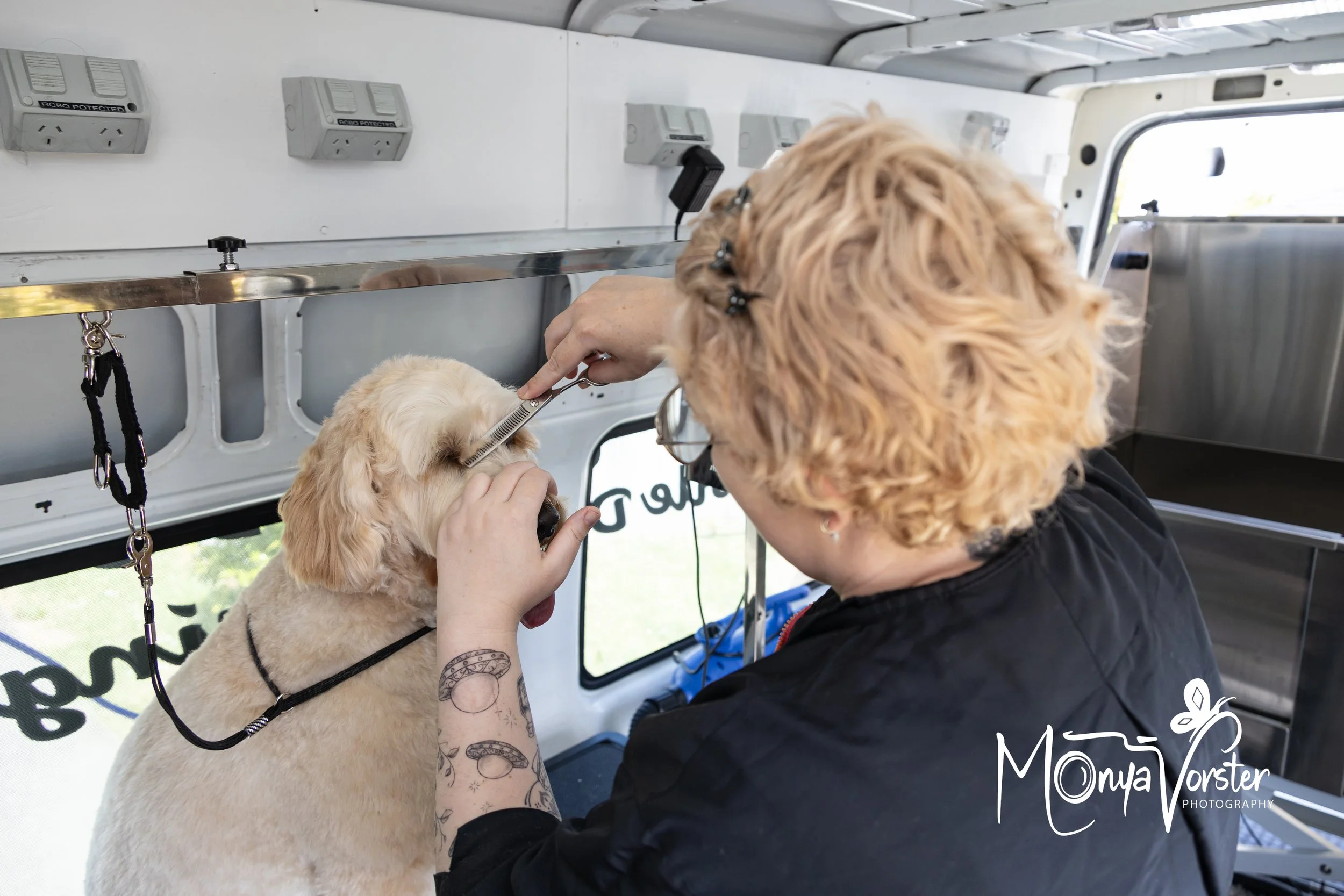 Kiwi Paws Jade 2024 Social media-14.JPG