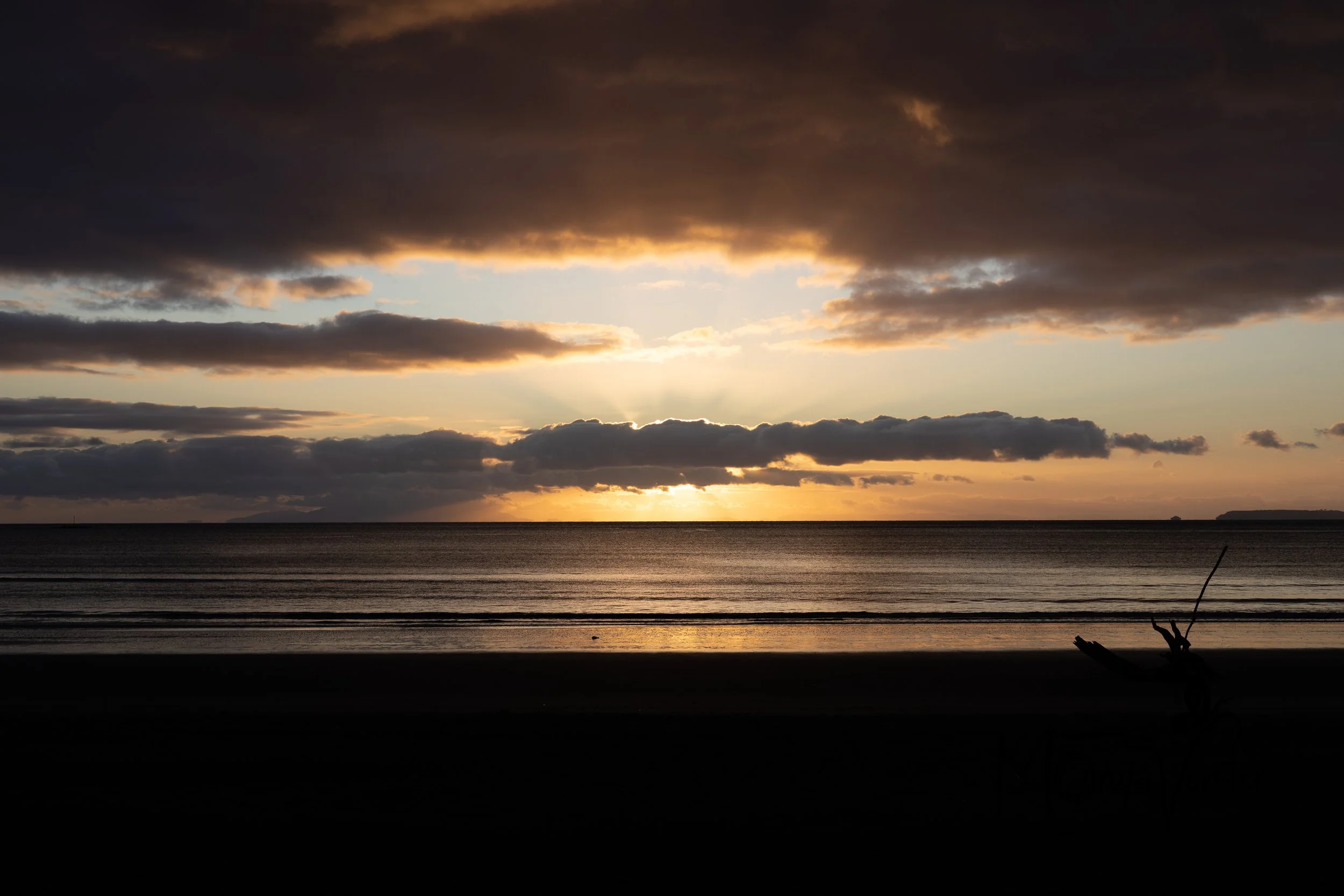 Elené and Nick portfolio-100.JPG