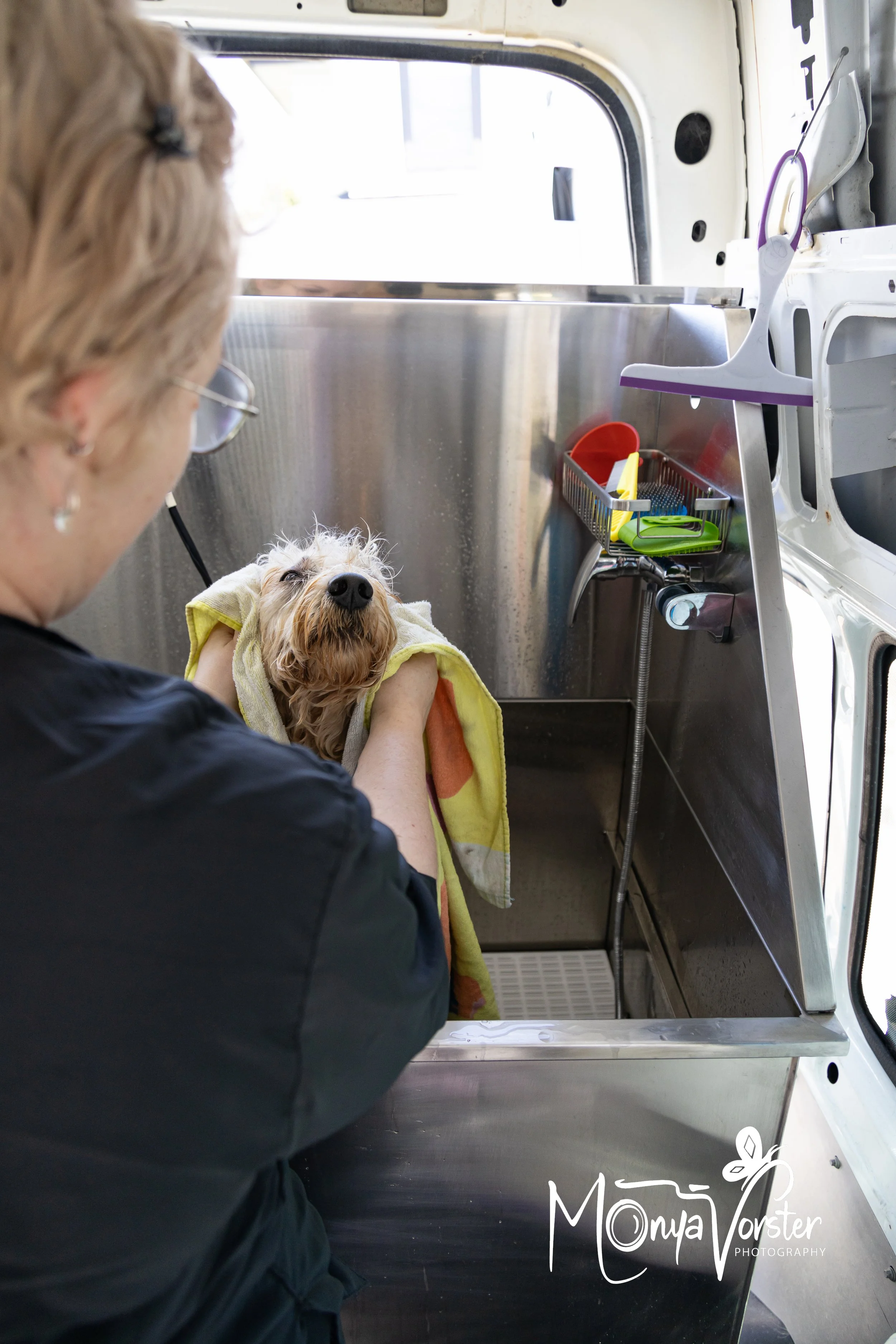 Kiwi Paws Jade 2024 Social media-34.JPG