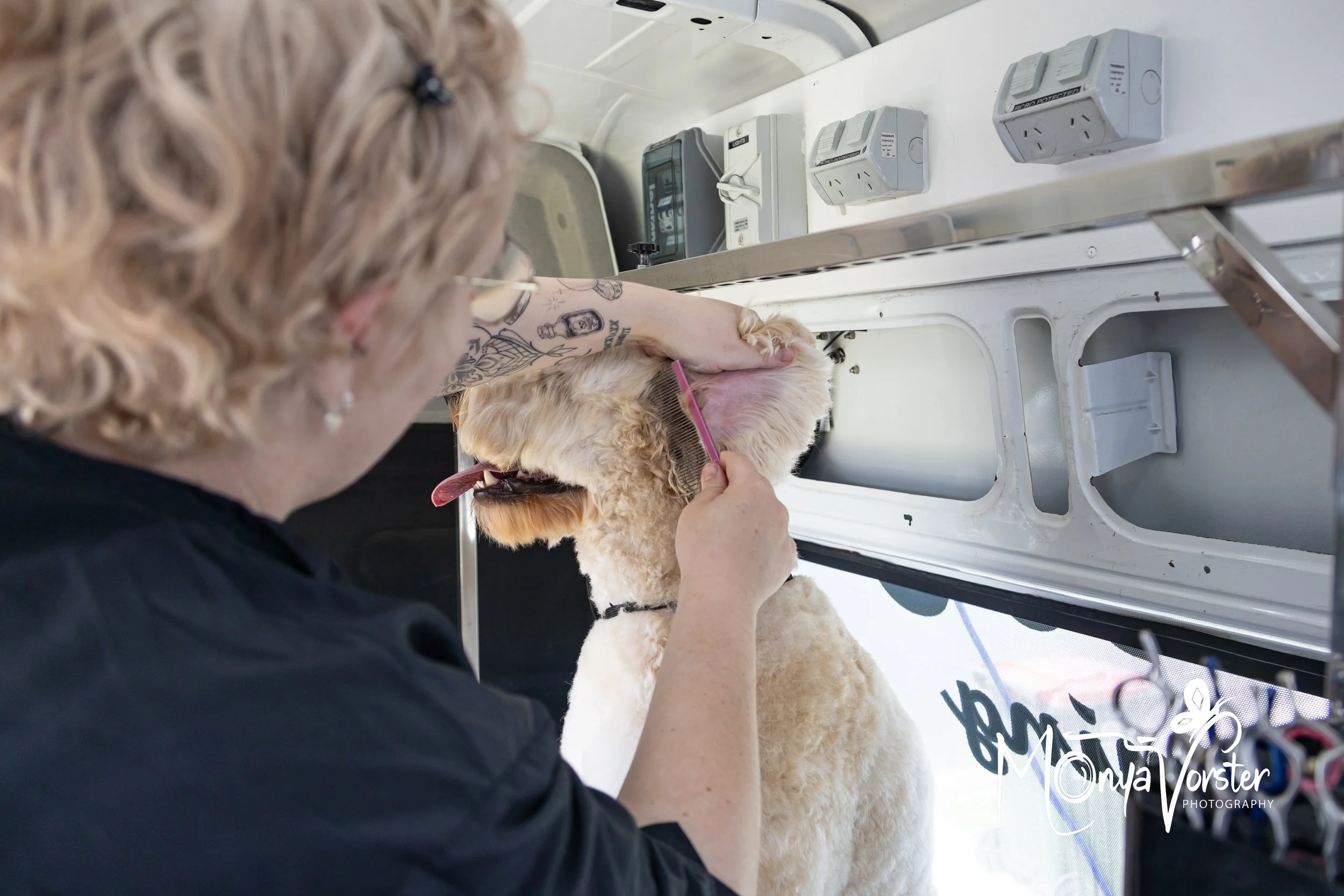 Kiwi Paws Jade 2024 Social media-16.JPG