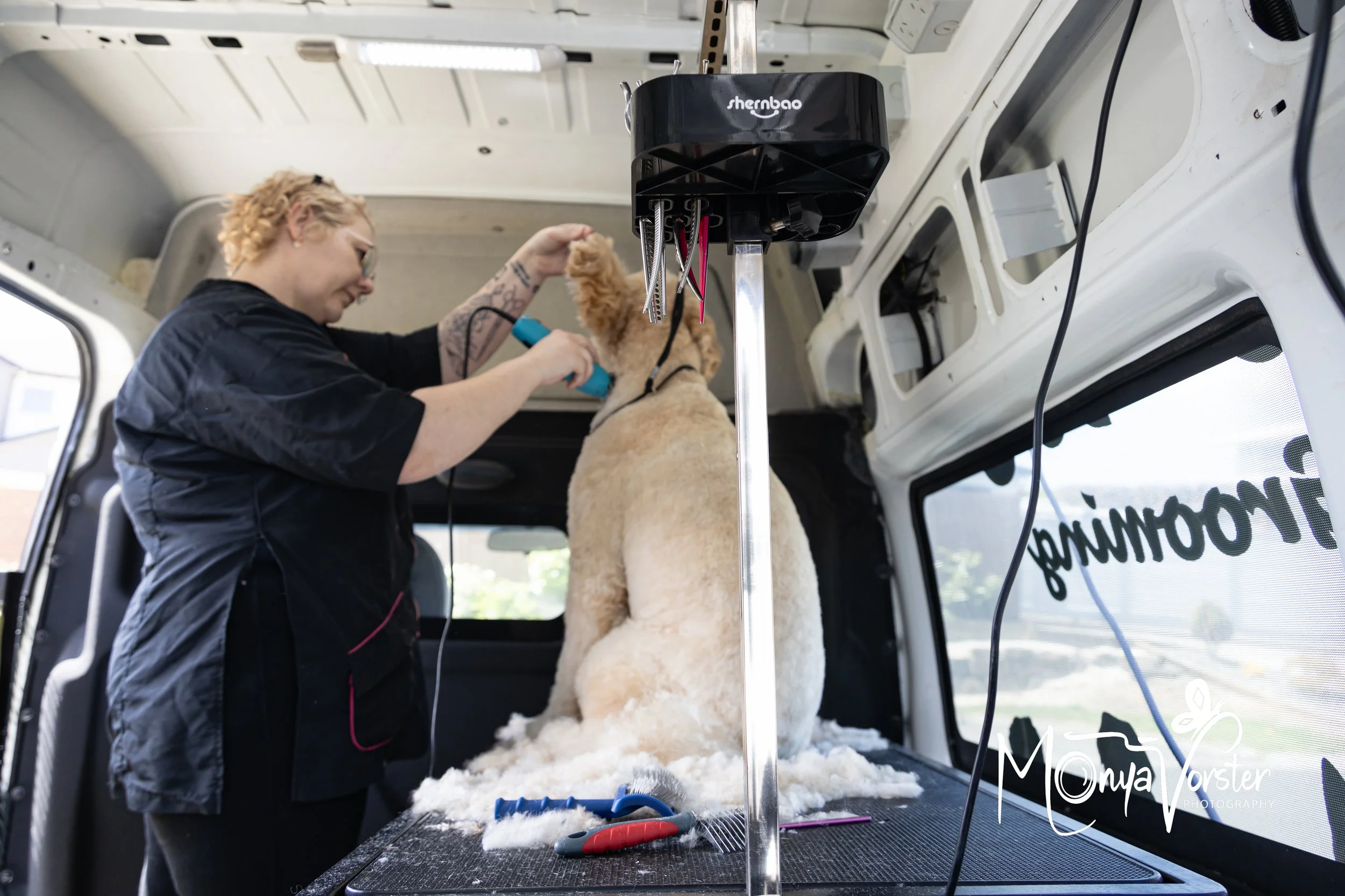 Kiwi Paws Jade 2024 Social media-19.JPG