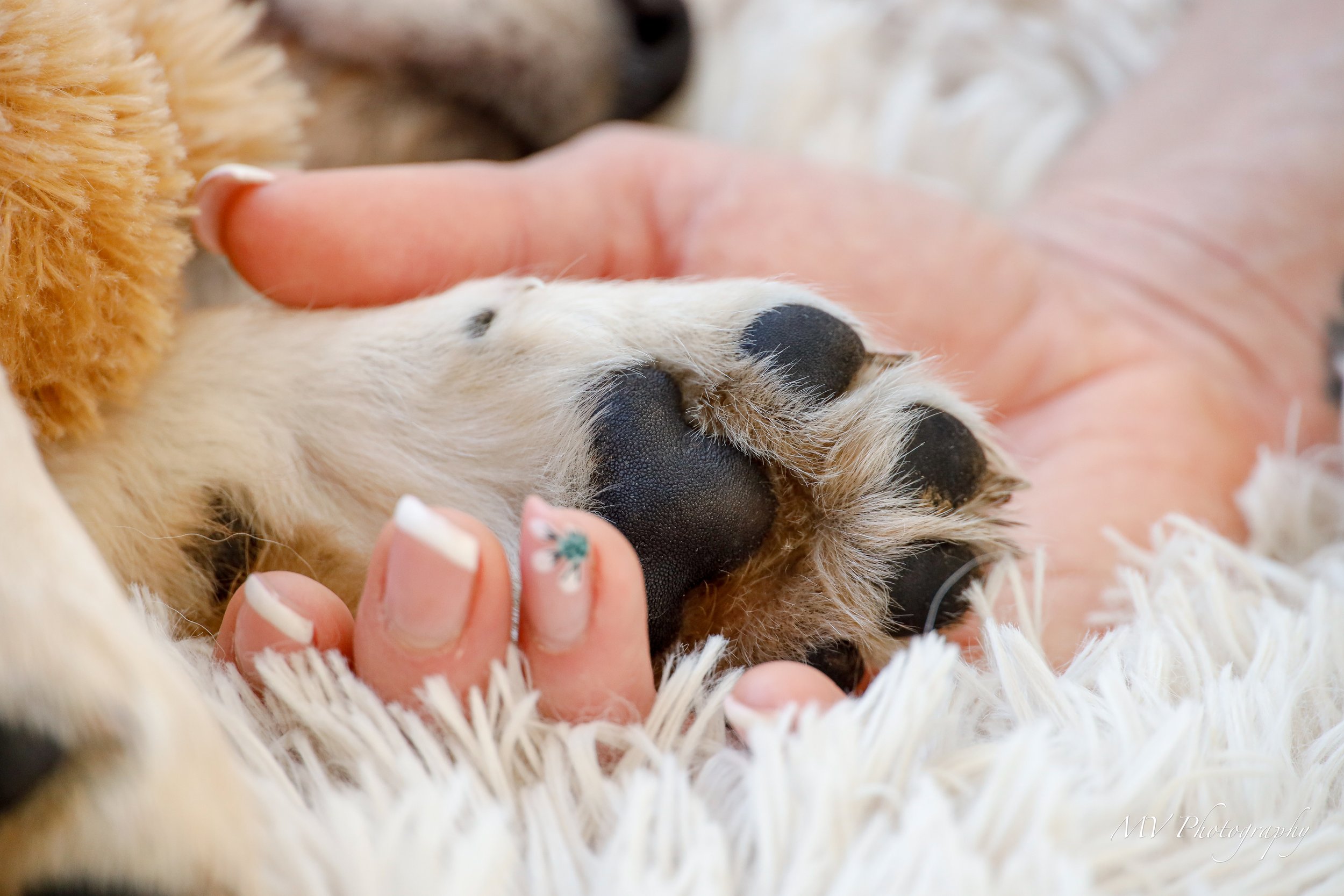 Daisy and Family-35.jpg