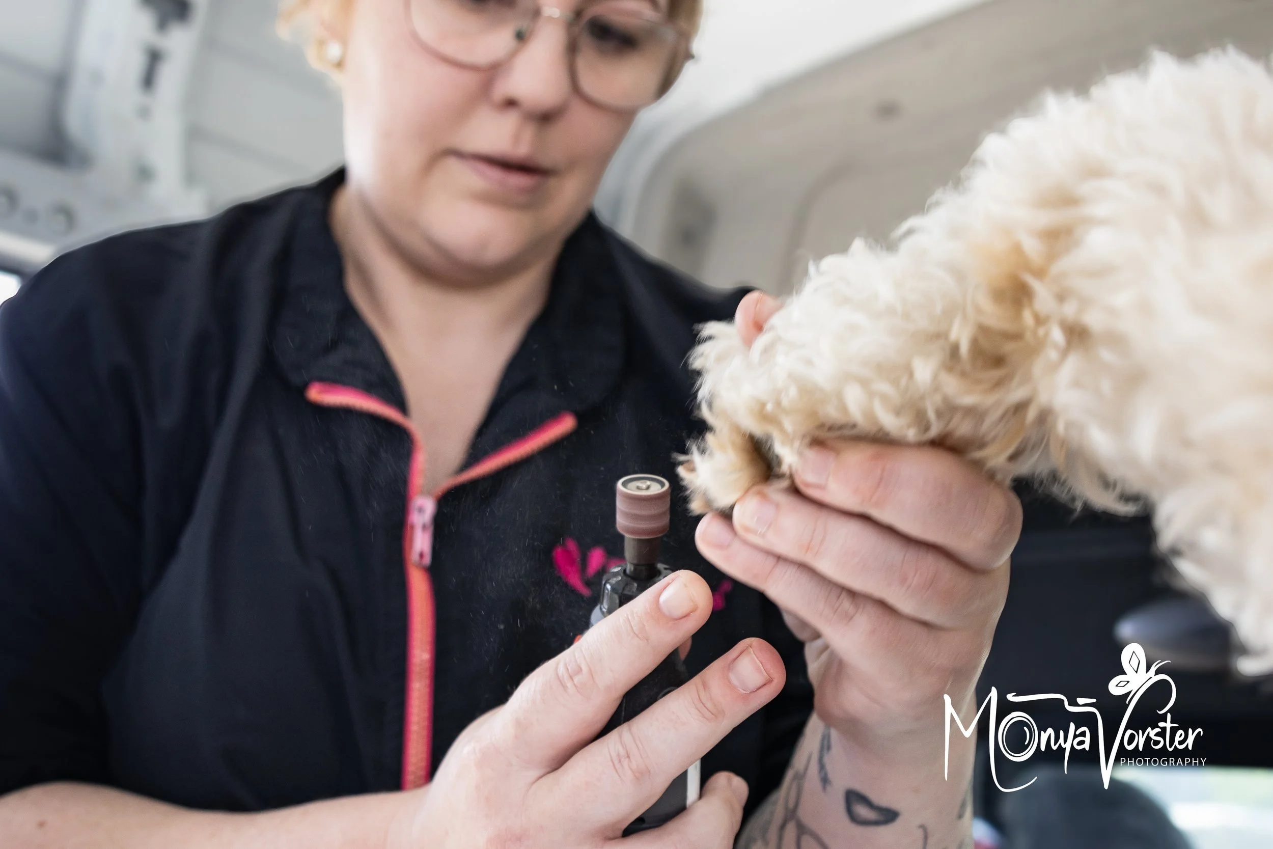 Kiwi Paws Jade 2024 Social media-41.JPG