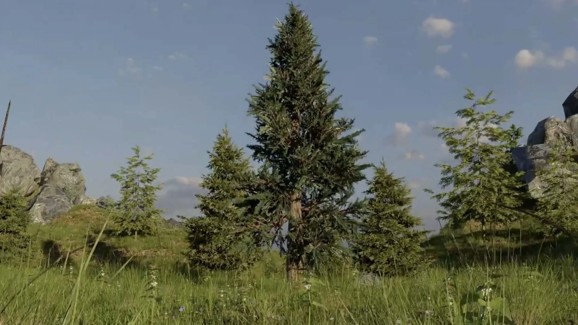 big cedar media logo animation.jpg