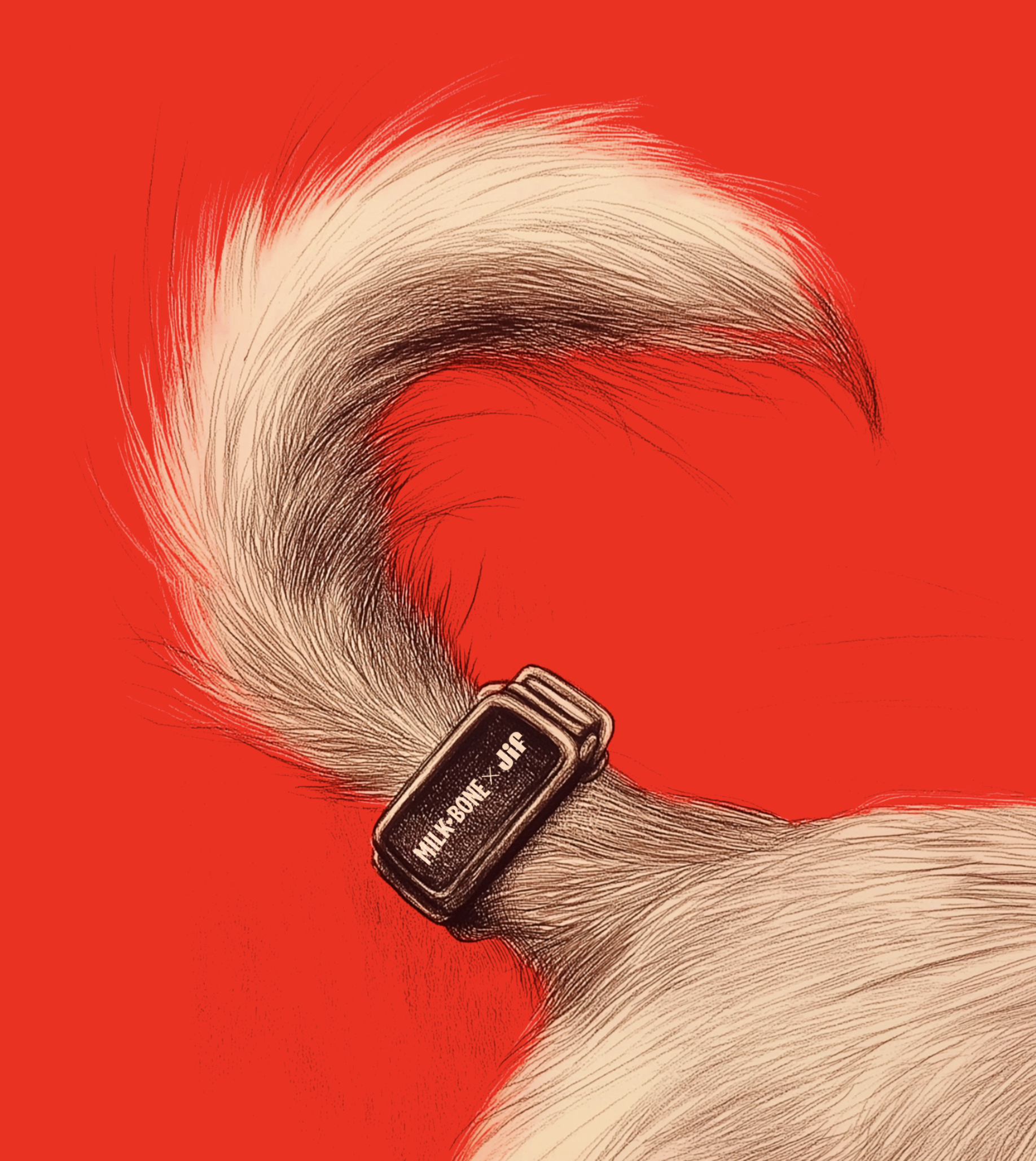 Screenshot 2026-01-16 at 12.53.45 PM.png