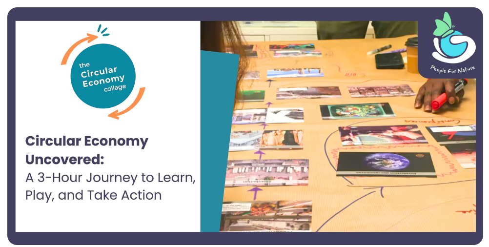 Circular Economy Collage Lunch &amp; Learn Brisbane