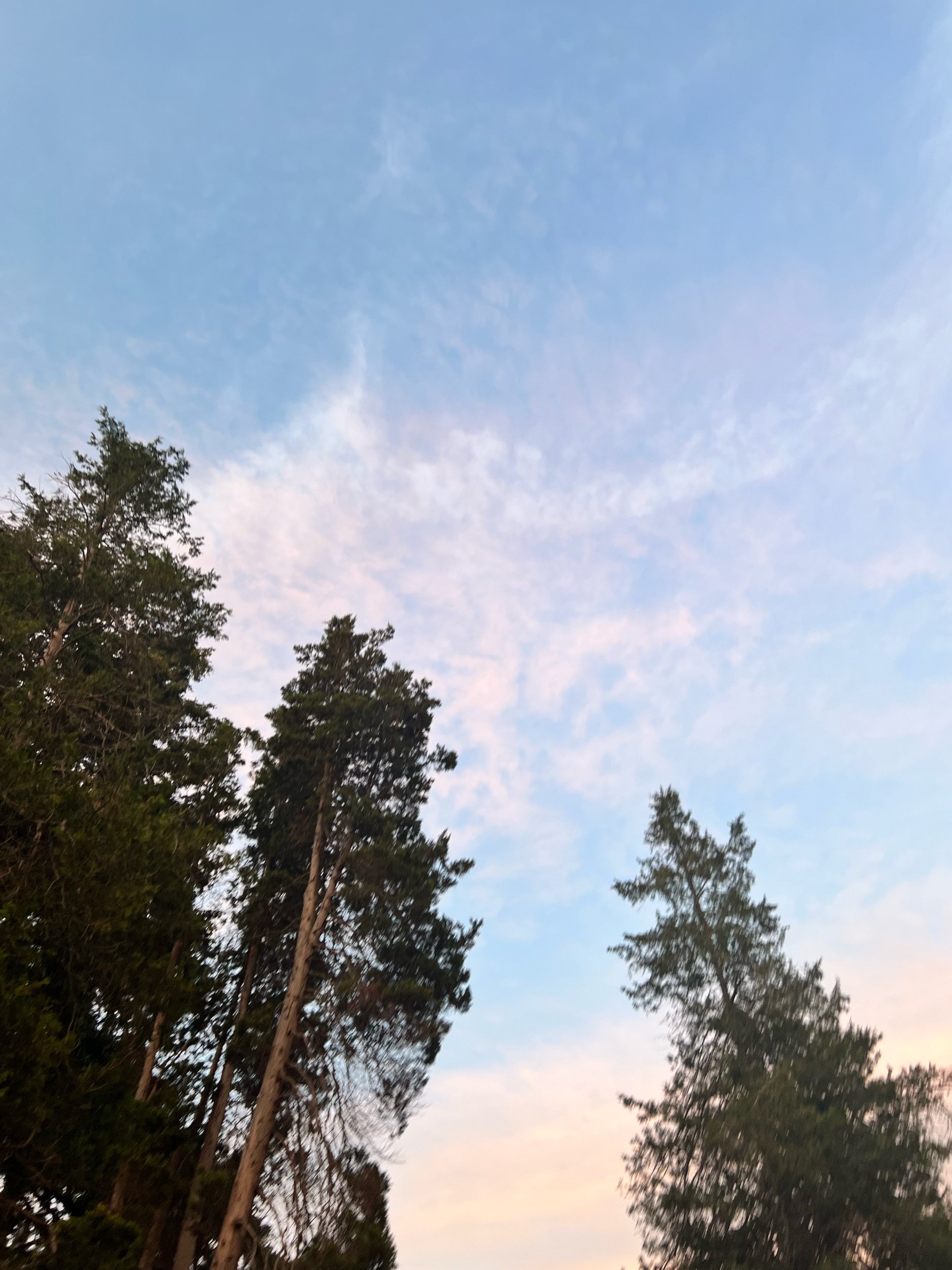 65764760-EA6E-4126-8B2E-C1CDB451548D.jpeg