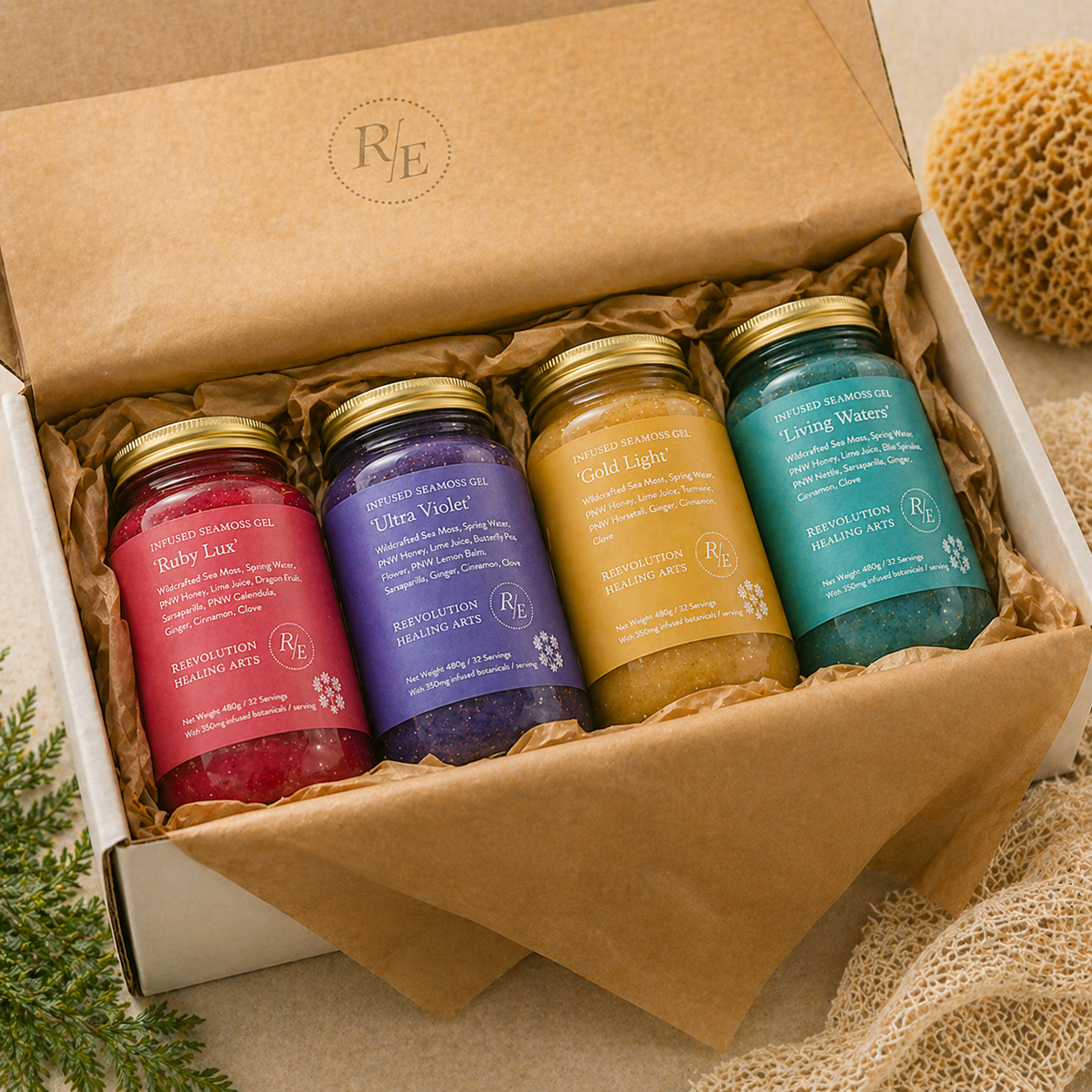 Seamoss 4 pack 6.png