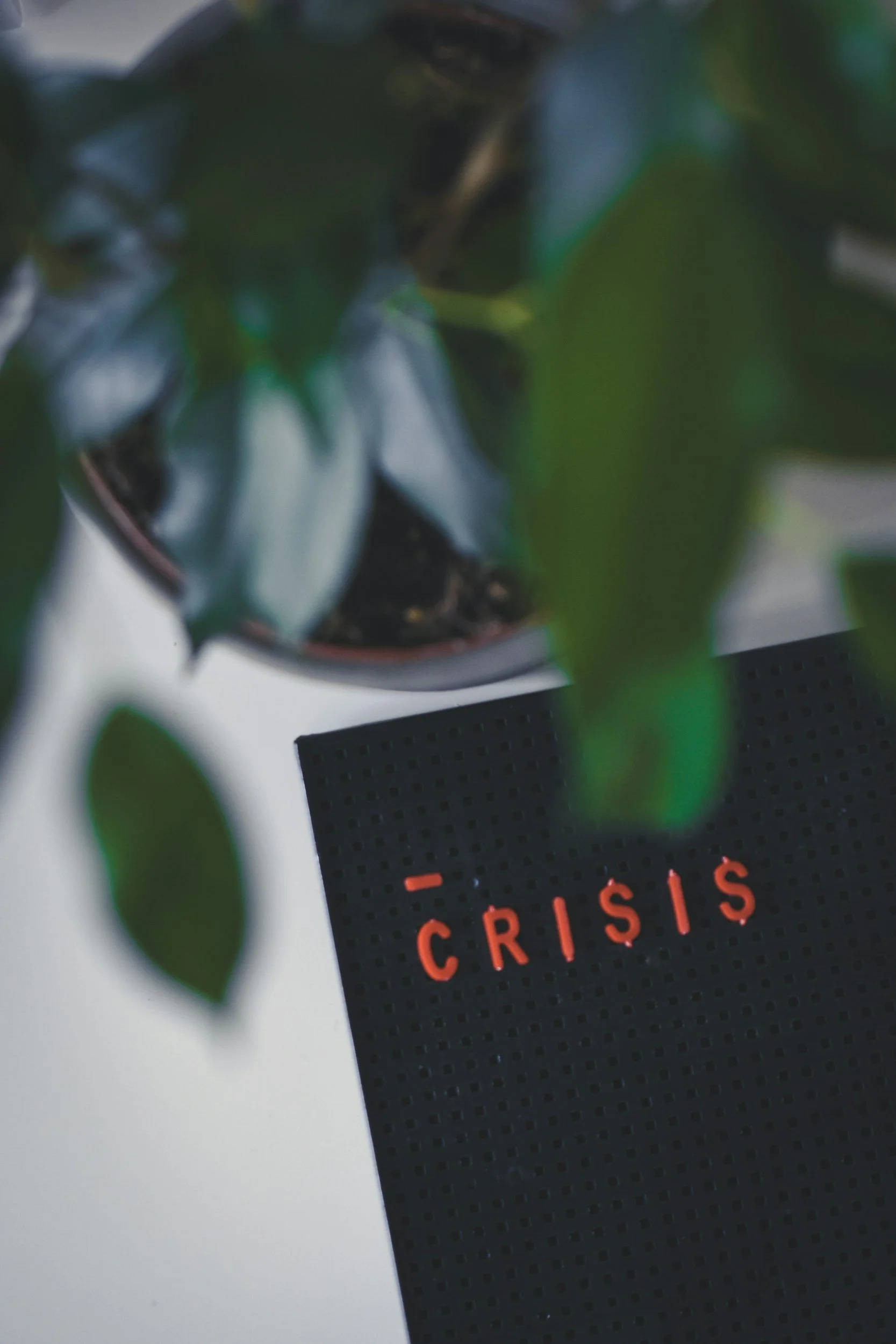 When an Adult Child Has a Crisis: How an Emergency Can Reshape Your Estate Plan