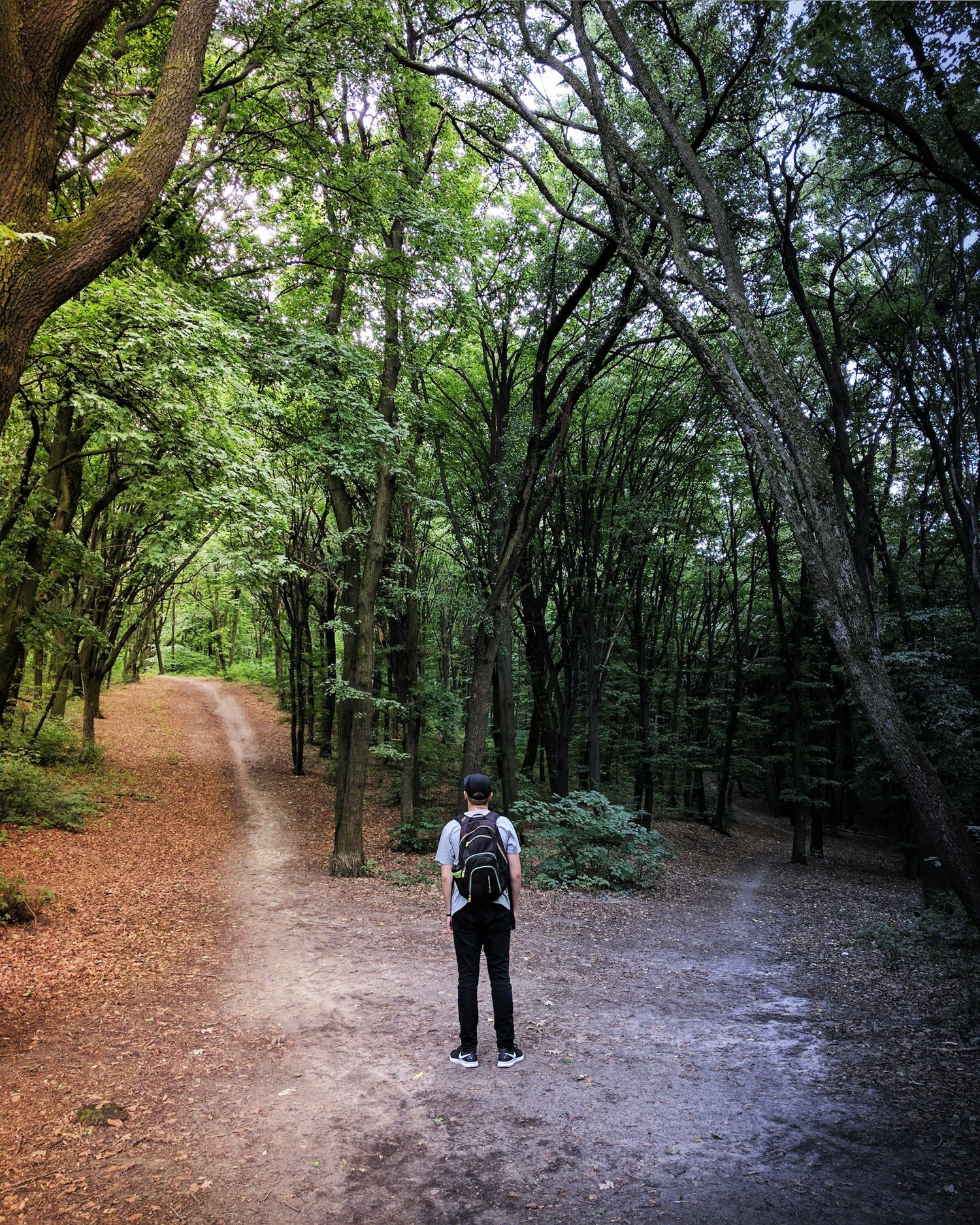 Why Being a Multi-Passionate Person Is a Strength: Reflections from a Therapist