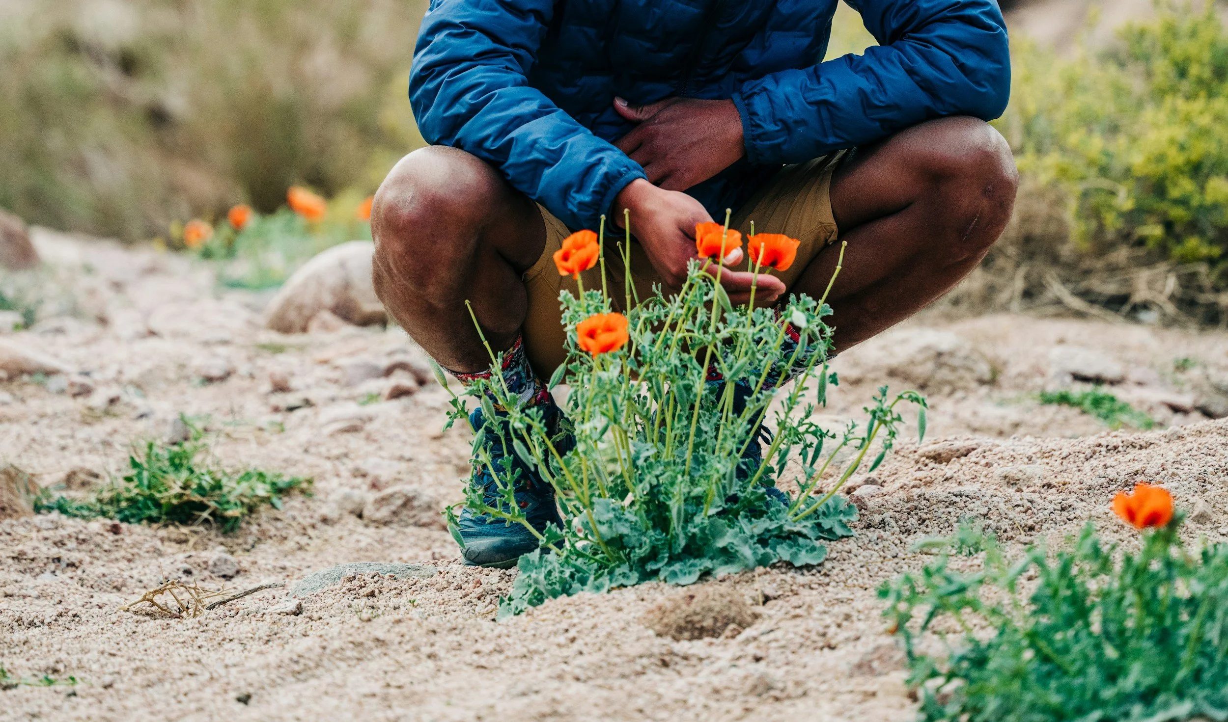Person crouching close to orange wildflowers outdoors, suggesting grounding, attention, and reconnection with nature.