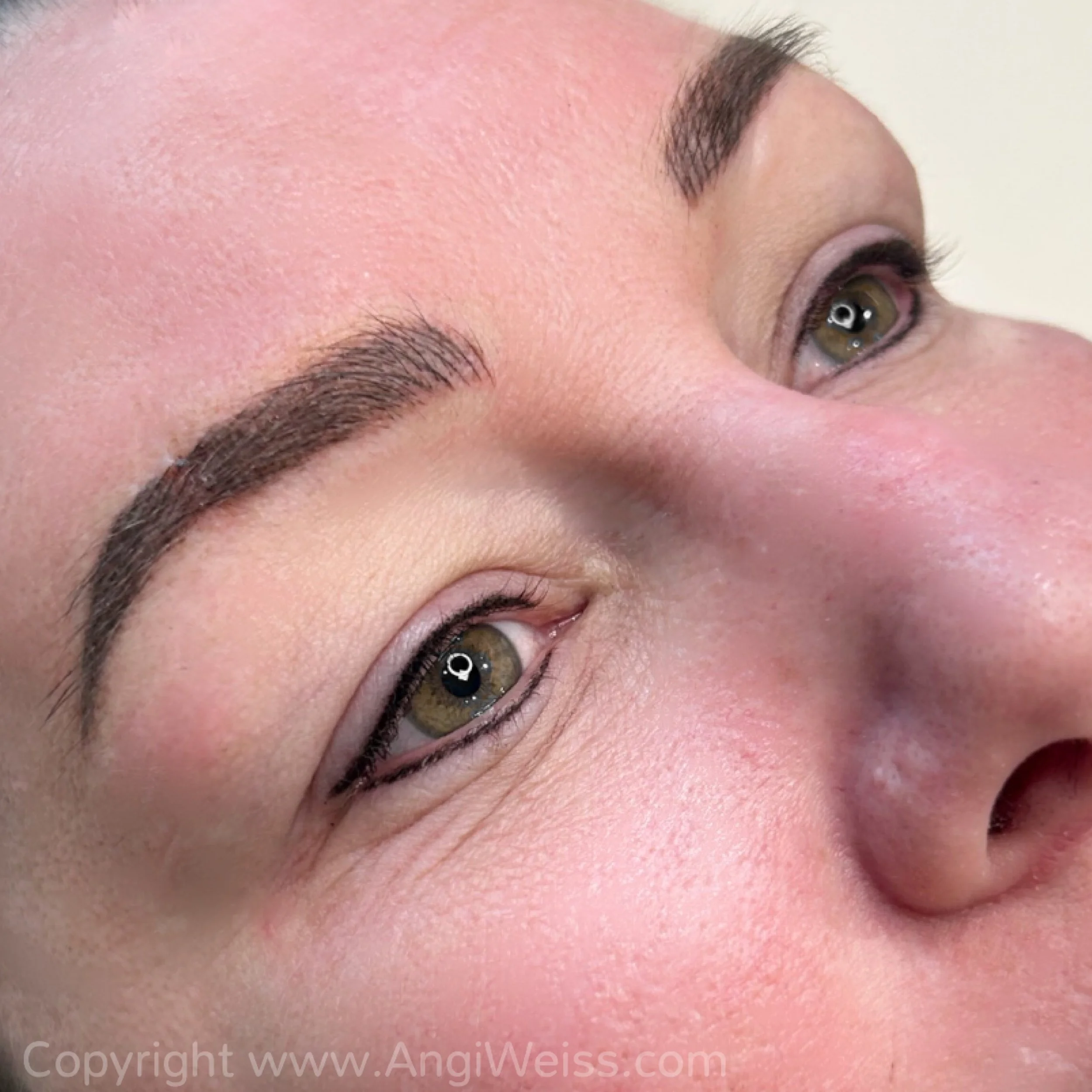 Permanent eyeliner lash wing tampa.JPG