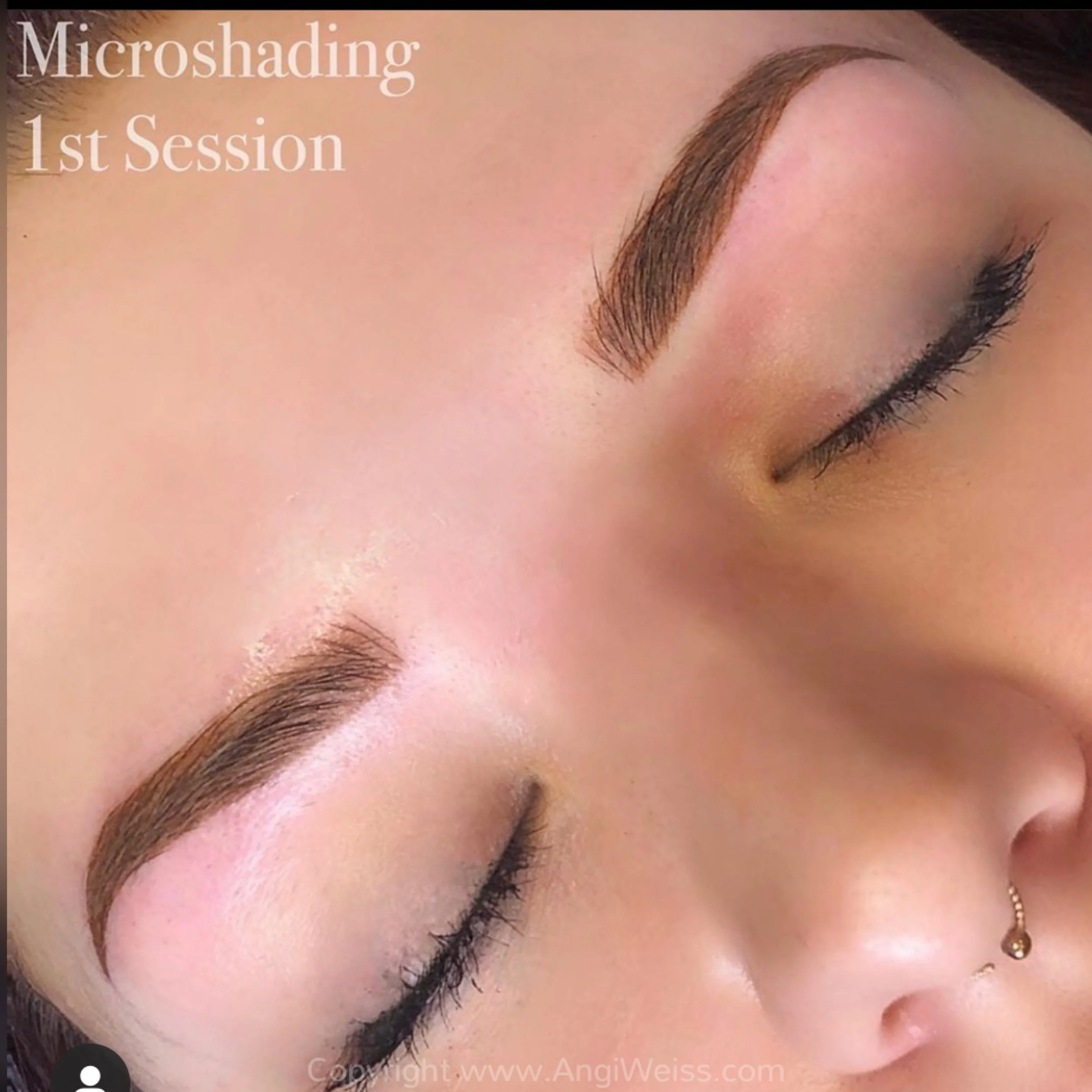 fresh combo brows tampa.JPG