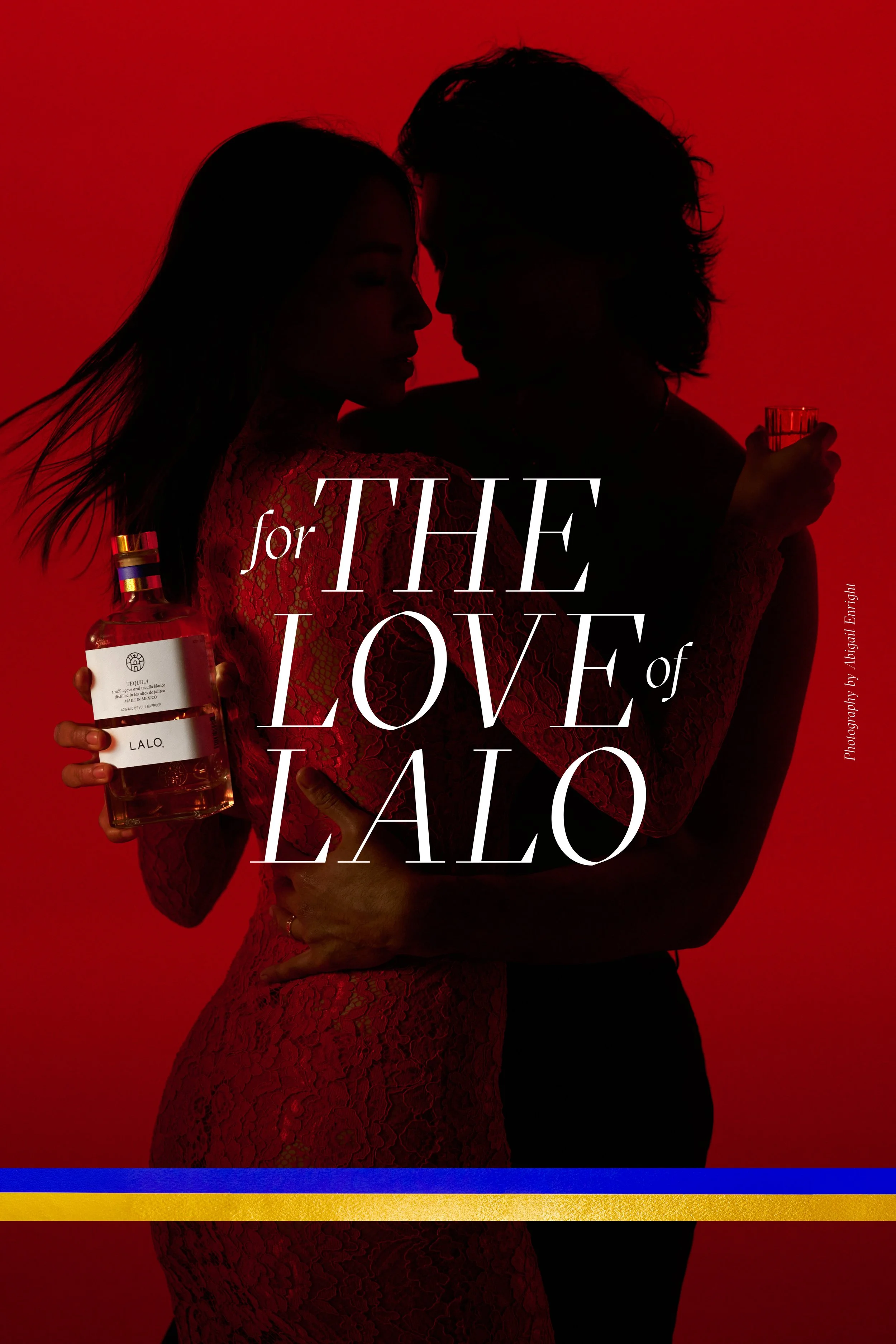 For the love of lalo_Wildposter_Type.jpg