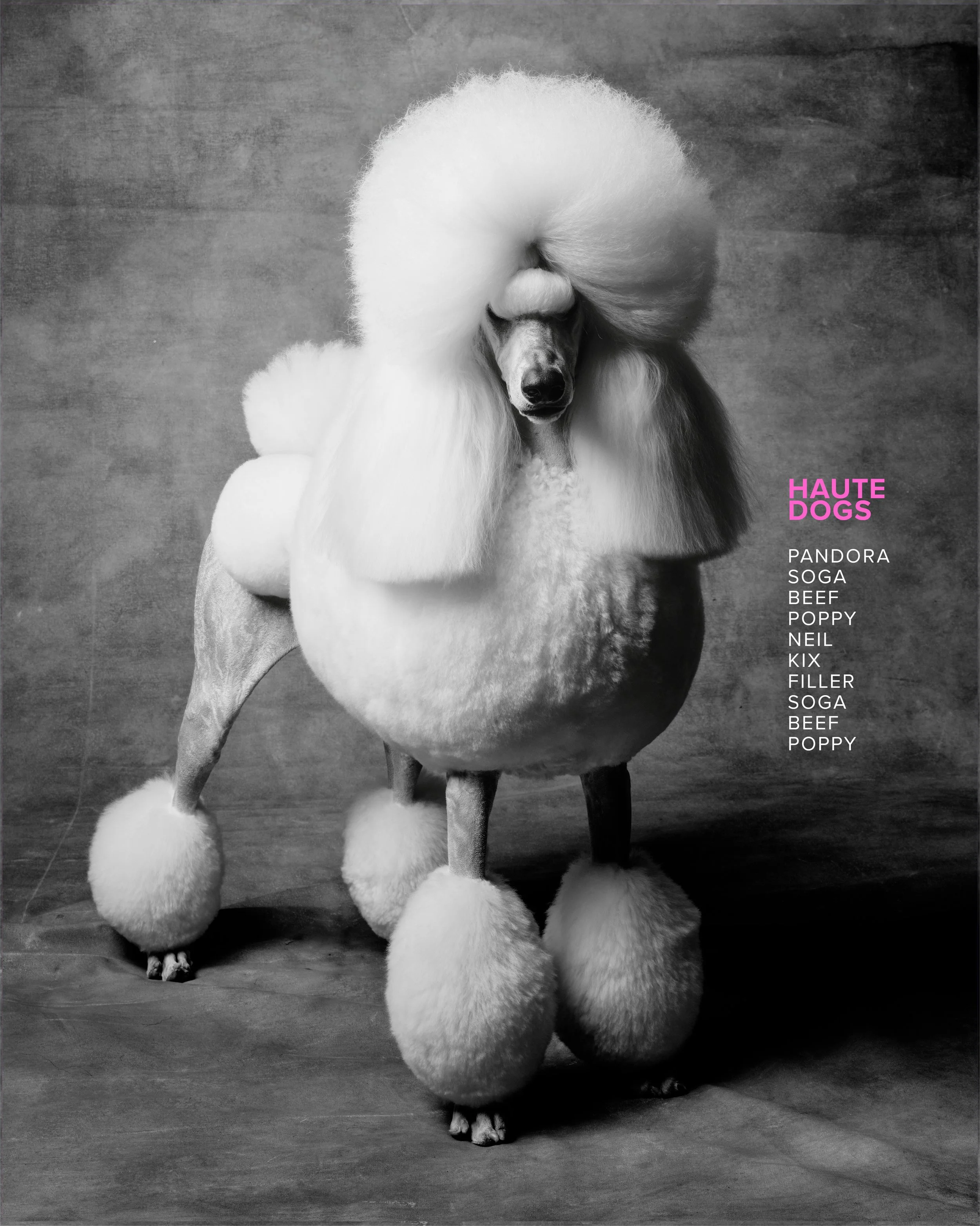 Haute Dog campaign design, Shot by Mark Seliger
