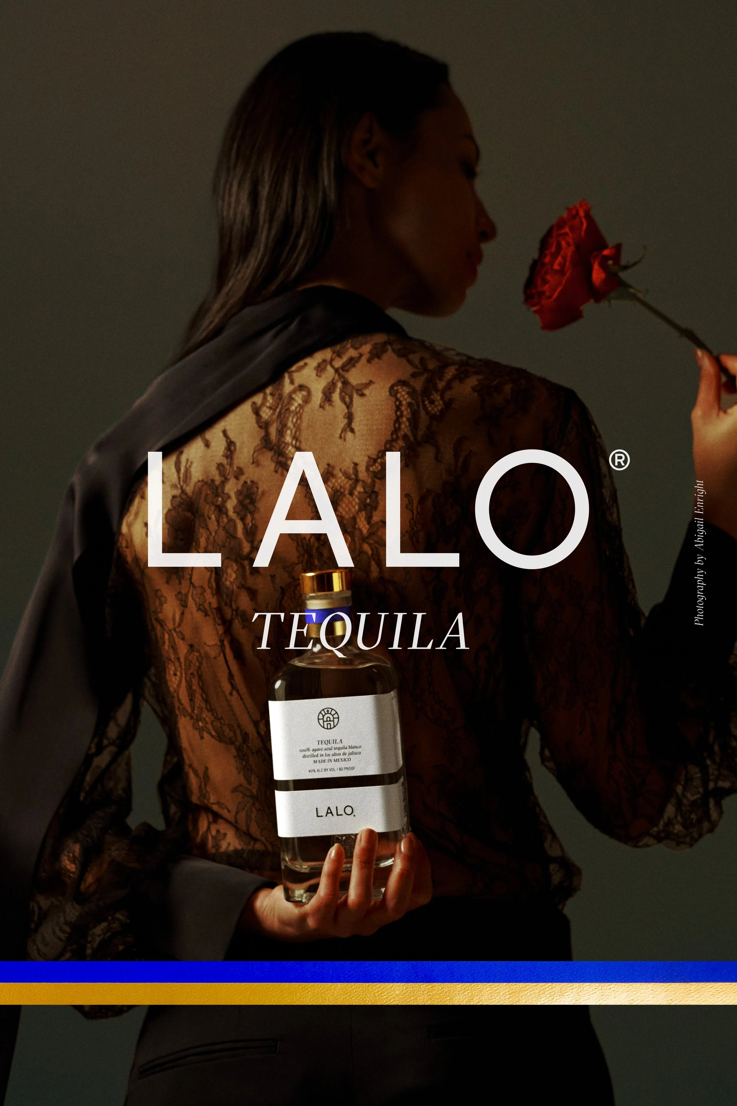 For the love of lalo_Wildposter_Type5.jpg