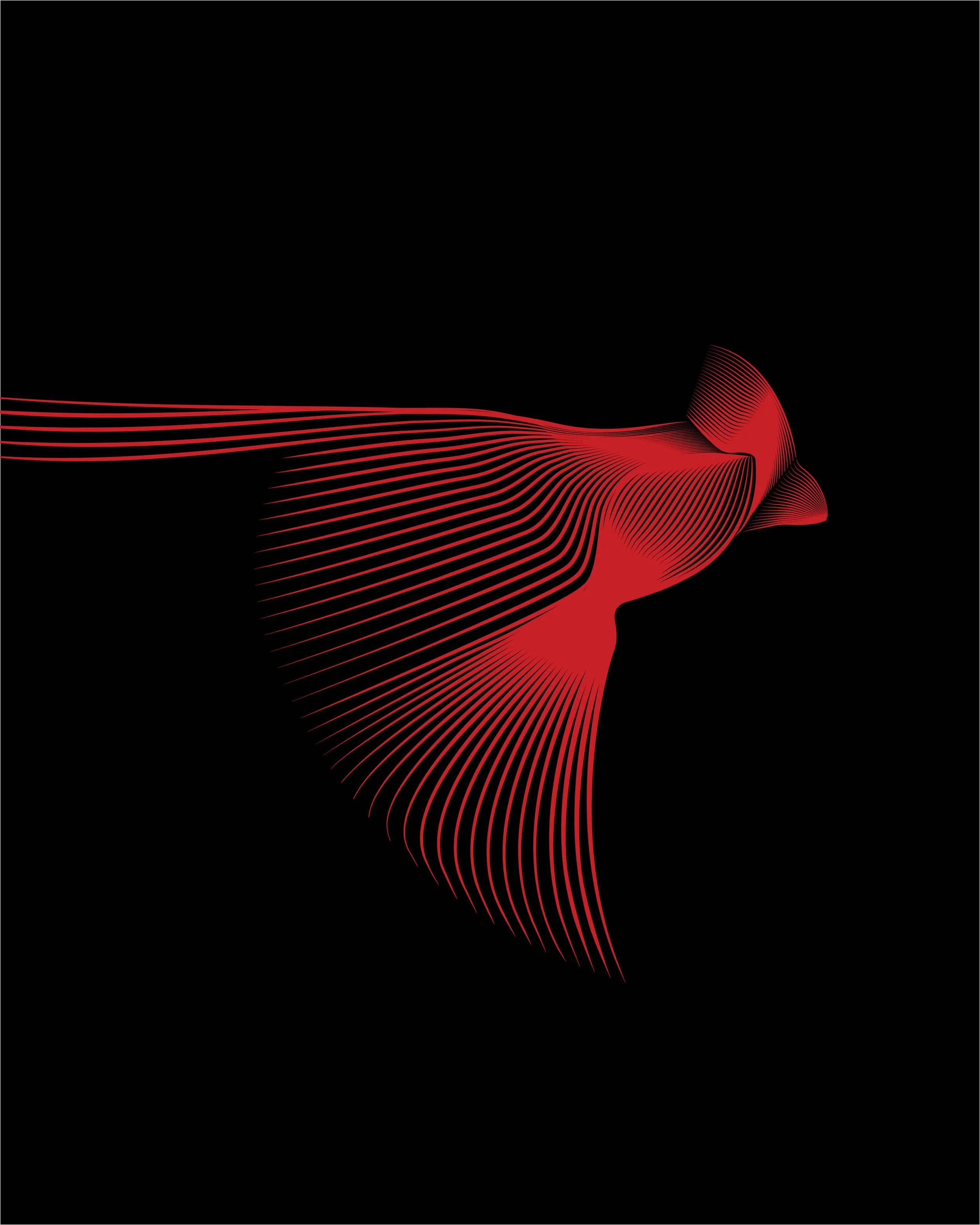 Led the identity system for a growing portfolio.