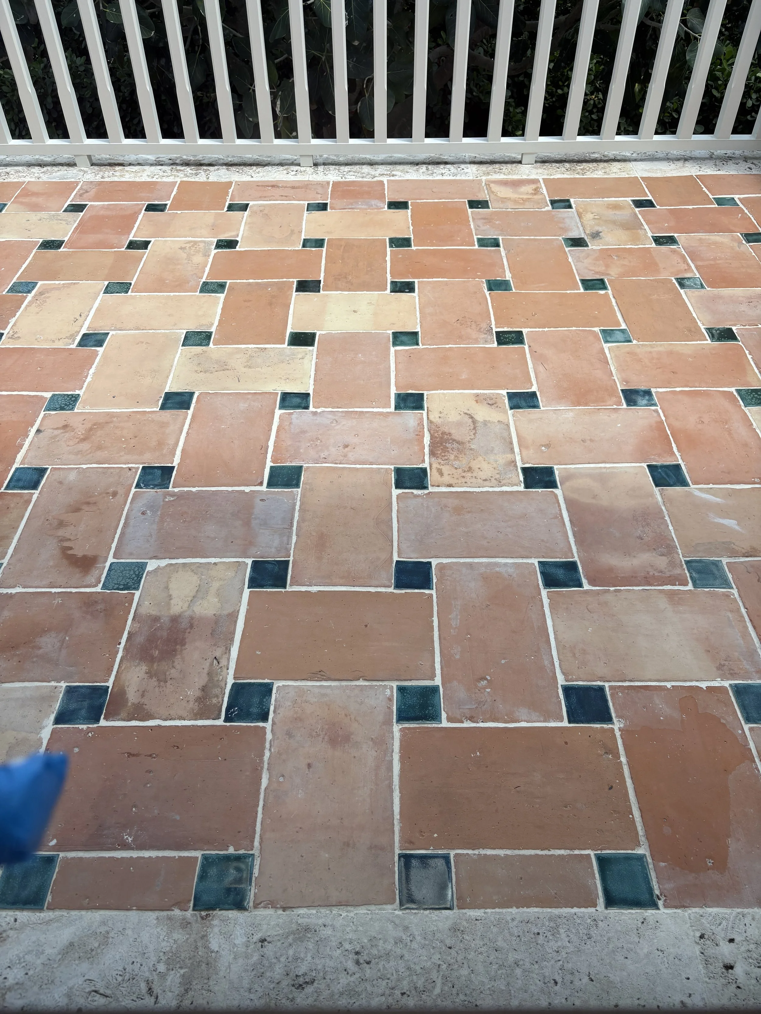 IMG_8563 - Breda Kellner.jpeg