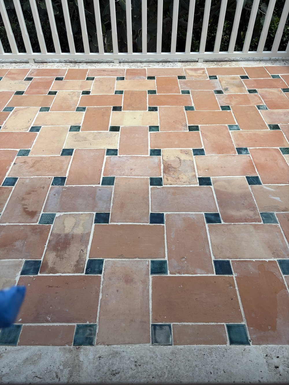 IMG_8563 - Breda Kellner.jpeg