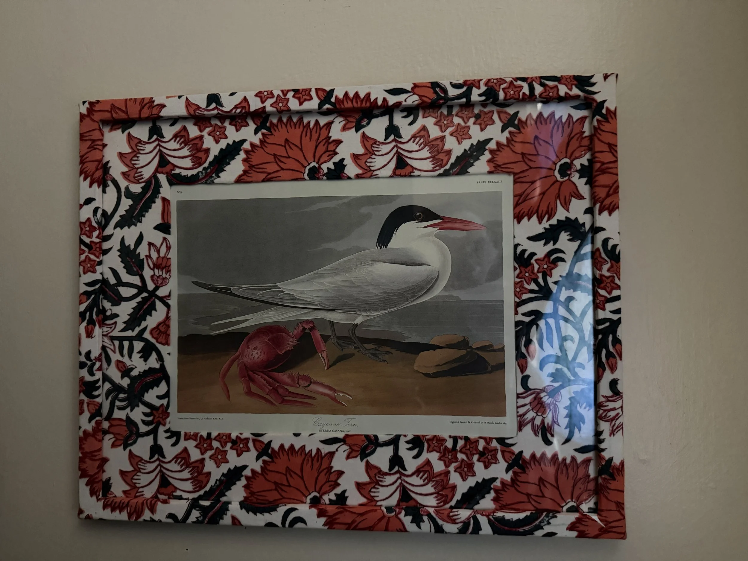 IMG_2769.JPEG
