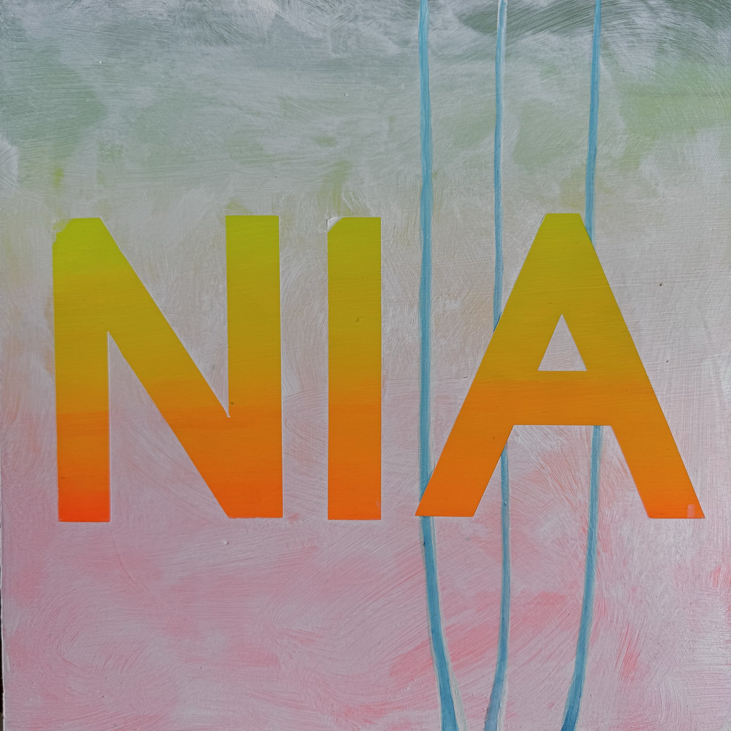 NIA.jpg