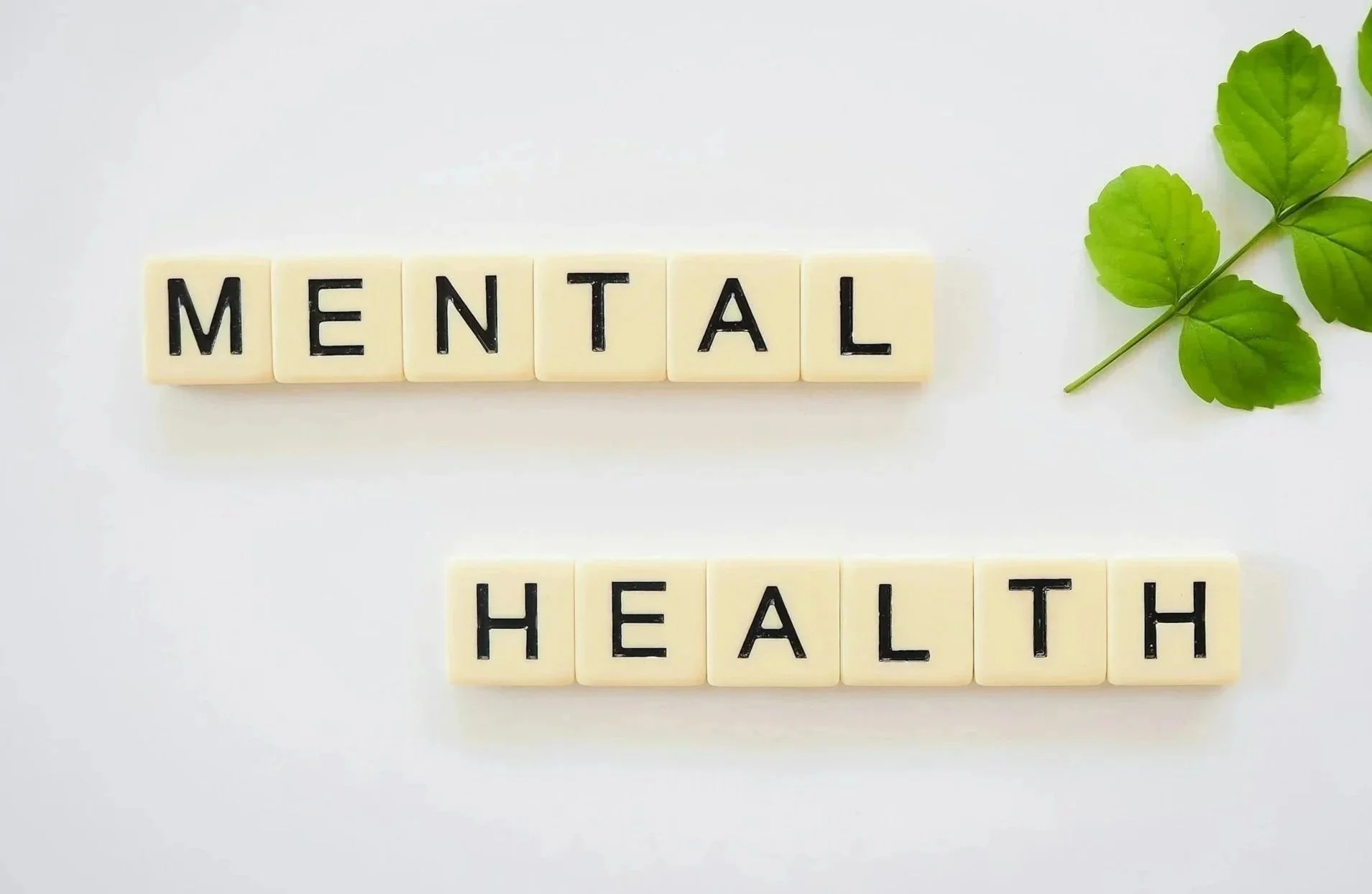 Healthy Mental Development</span> PROVIDER RESOURCES</span>
