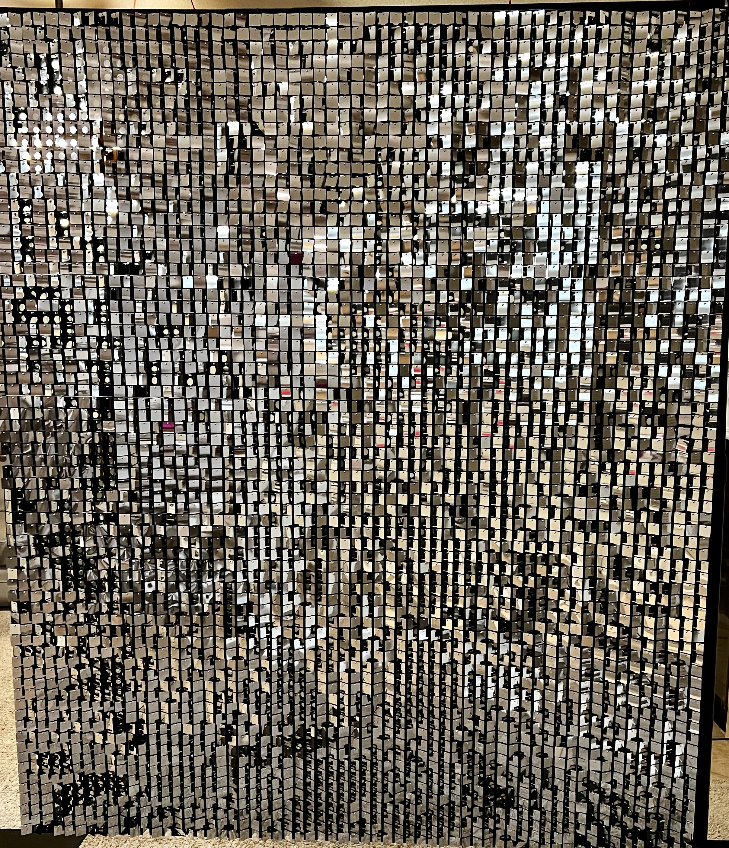 Silver Shimmer wall 6X7