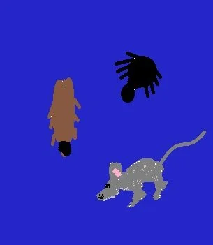 Pest Repellant Reiki pic.jpg