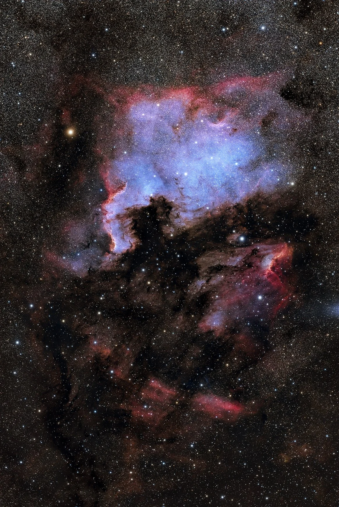 N_American_Nebula_Genevieve_Mayet.jpg