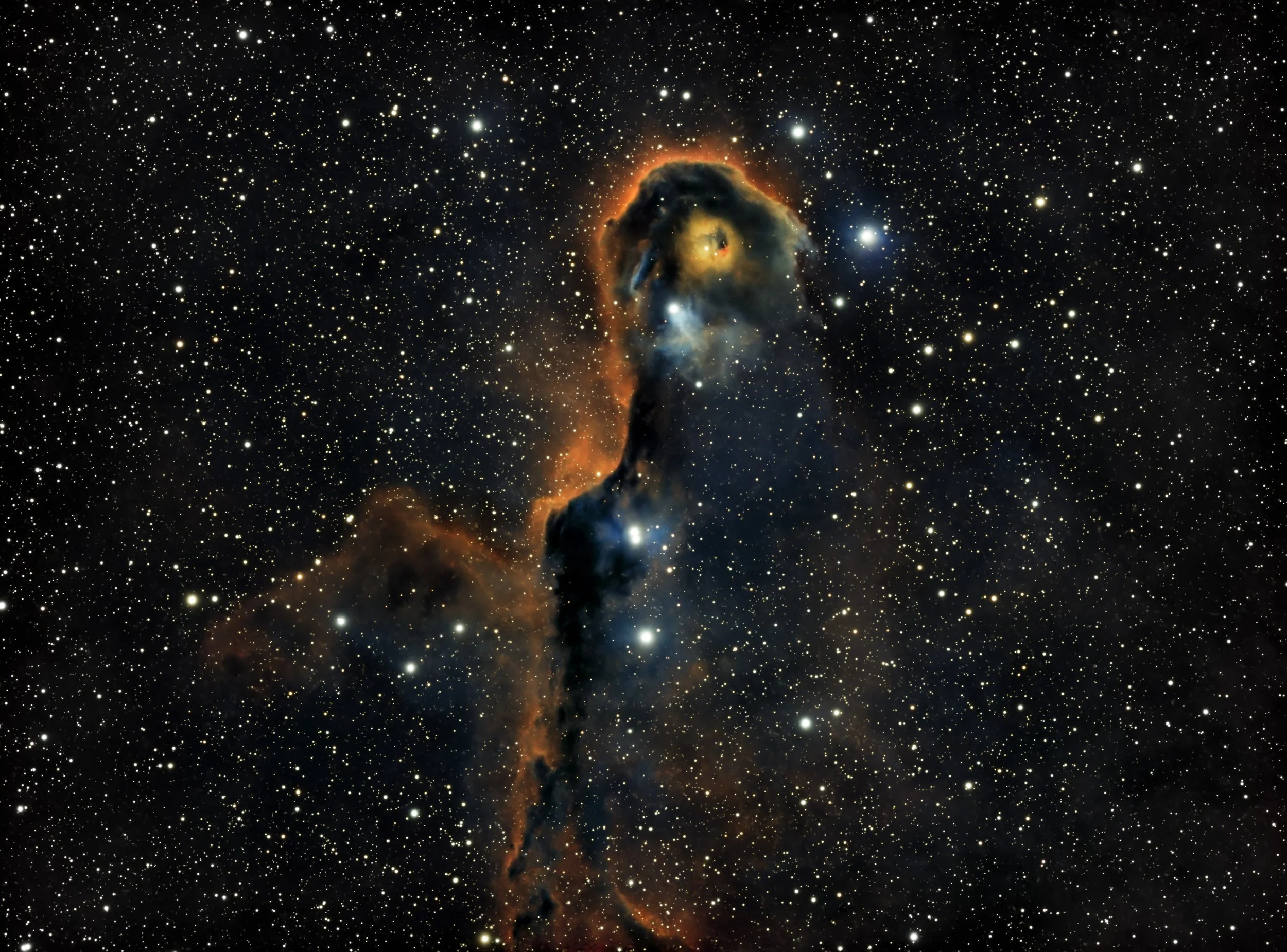 Stellar Spectra: Colors of the Cosmos