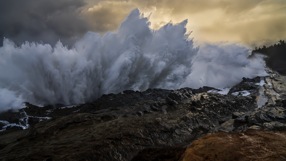 _DSC2997_Shore_Acres_24mm.png