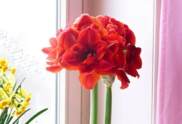 IMG_8142.JPG