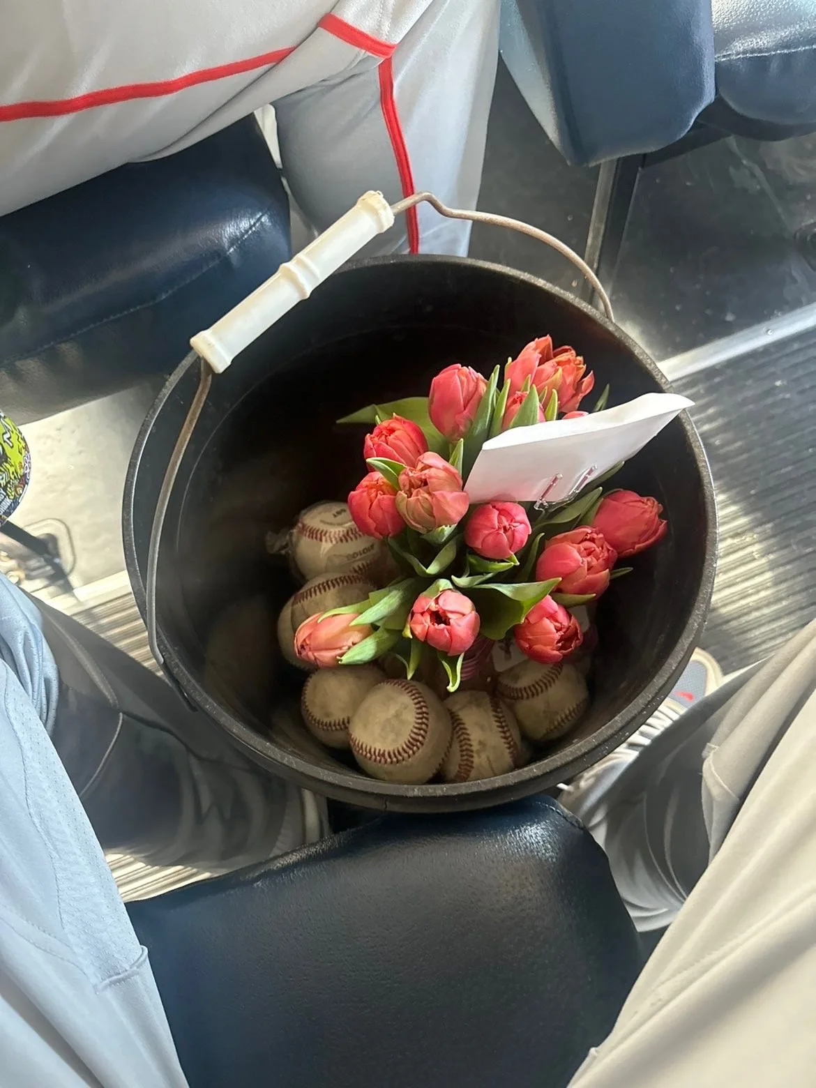 Baseball and Flowers