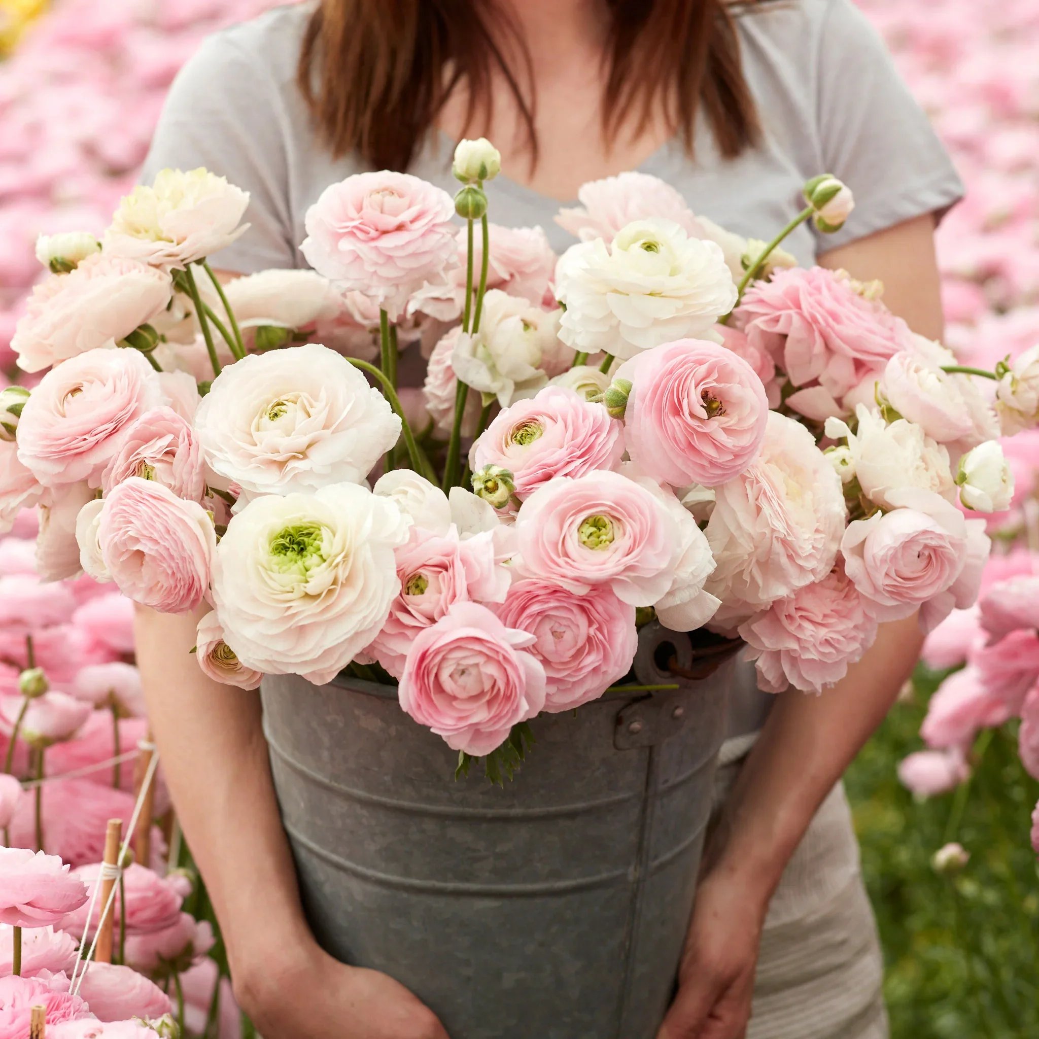 IMG_7699.WEBP