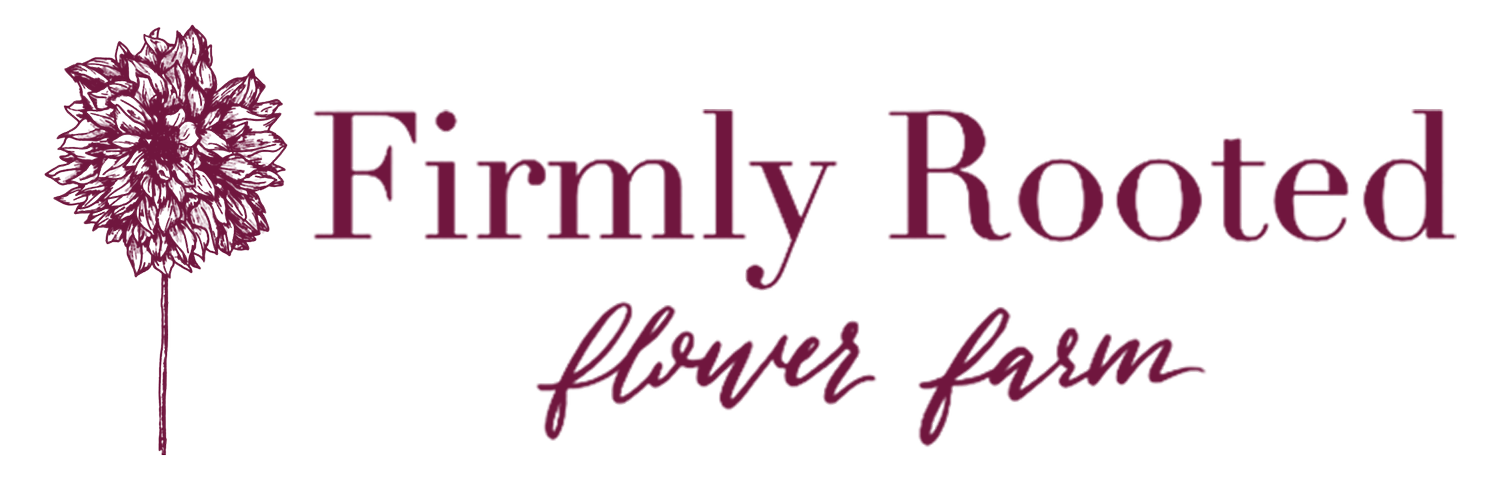 Firmly Rooted Flower Farm