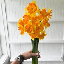 IMG_7689.JPG