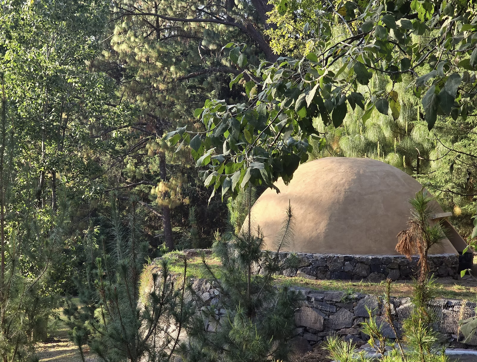 Screenshot 2026-01-14 at 5.04.21 PM.png