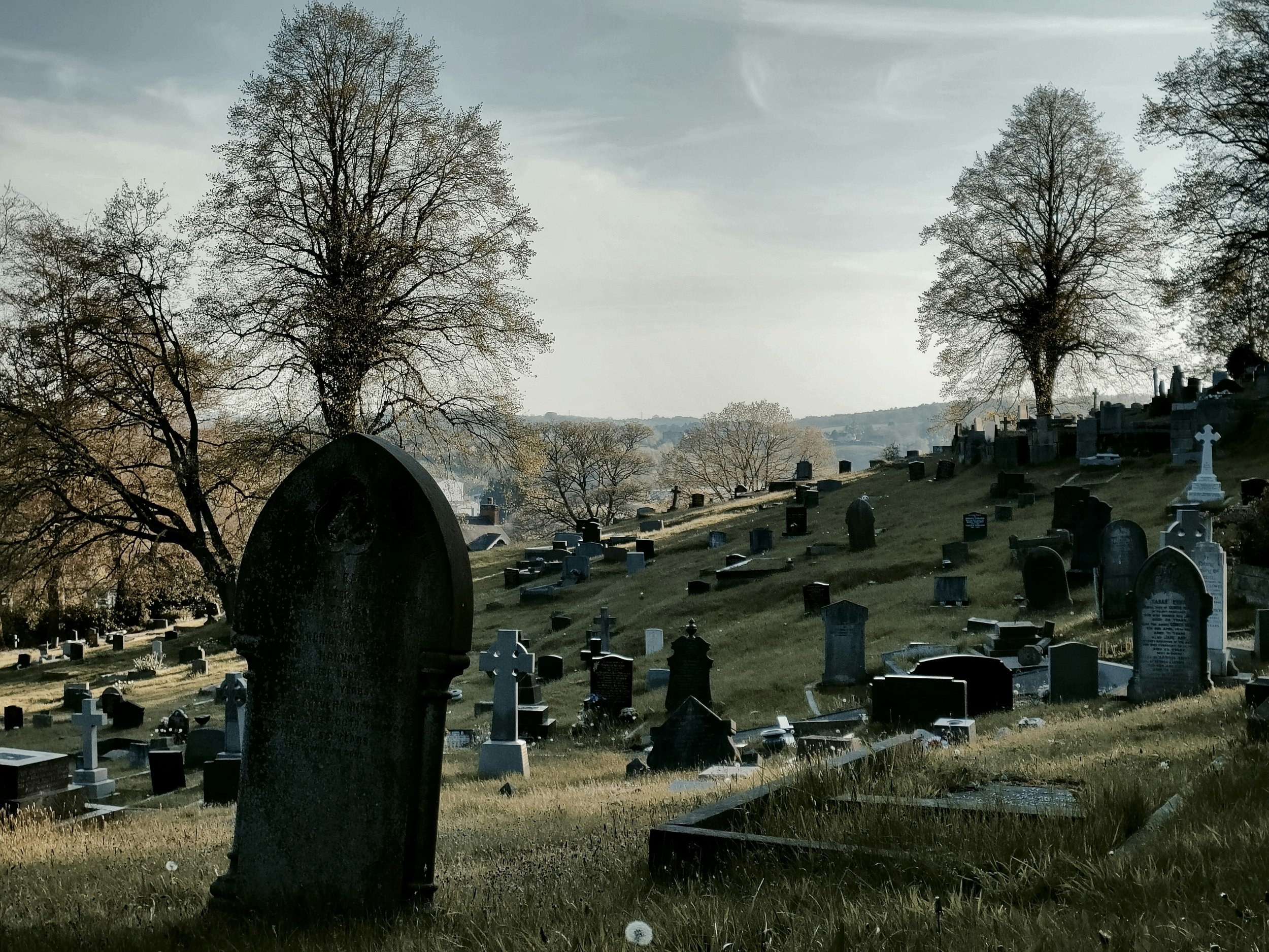 Southern Gothic Graveyard
