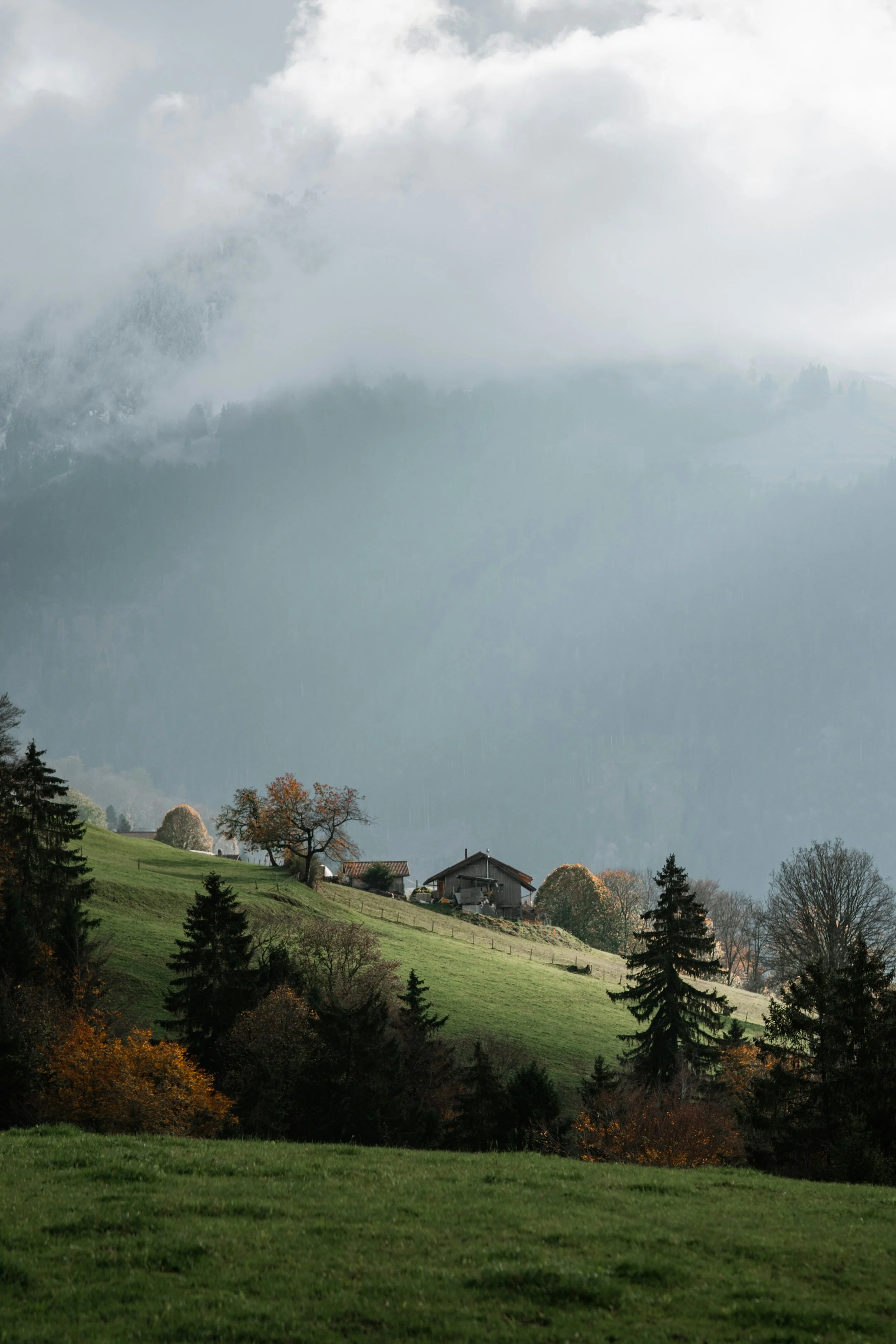 A scenic landscape of green rolling hills with trees and houses, mist-covered mountains in the background, and a cloudy sky overhead.