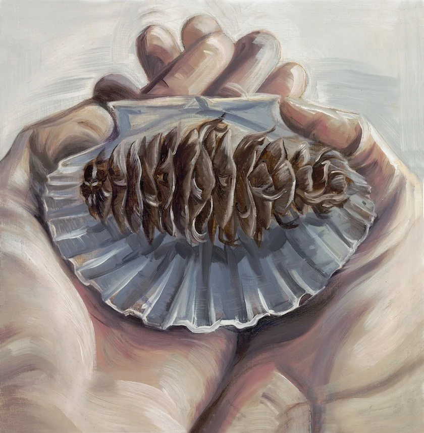 Shell and Cone