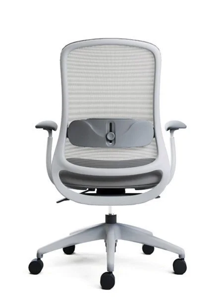 Advanta_Savi_WhiteGrey_Back.jpg